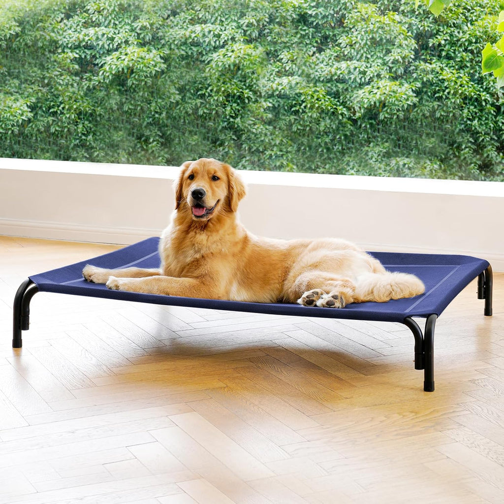 Poupipets Elevated Dog Resting Bed with Durable Frame and Easy-Clean Mesh Cover