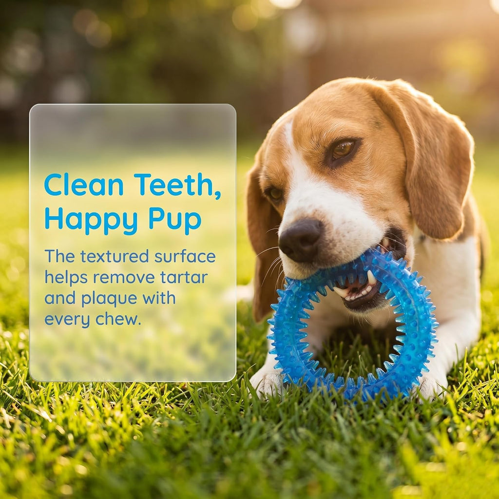 Dailypets 20 Piece Puppy Toy Set with Rope Toys Teething Rings Rubber Chews and Treat Toy