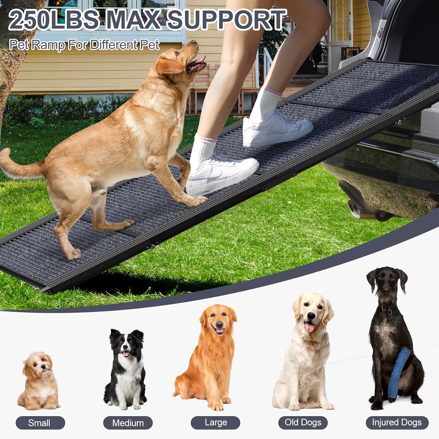 Poupipets Folding Aluminum Dog Ramp for Cars, SUVs & Trucks with Non-Slip Carpet Surface