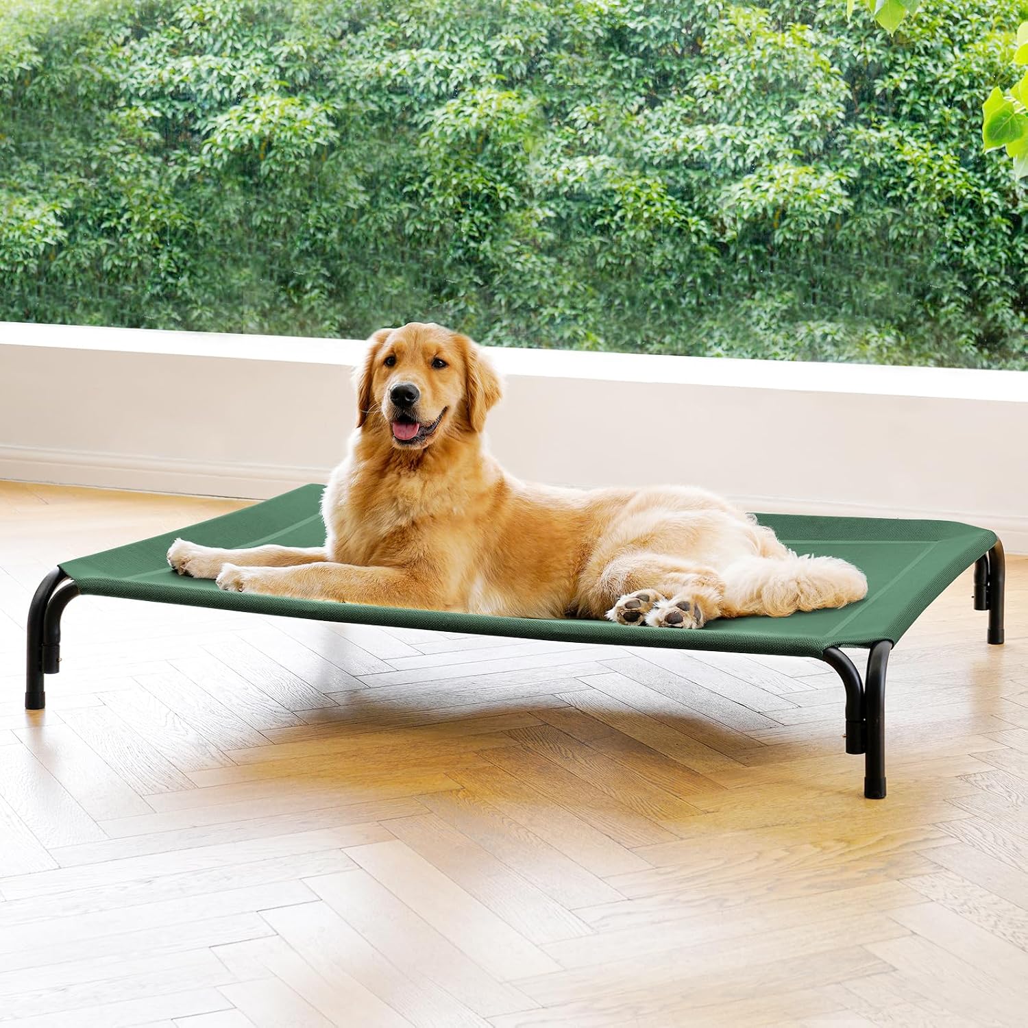 Poupipets Elevated Dog Resting Bed with Durable Frame and Easy-Clean Mesh Cover