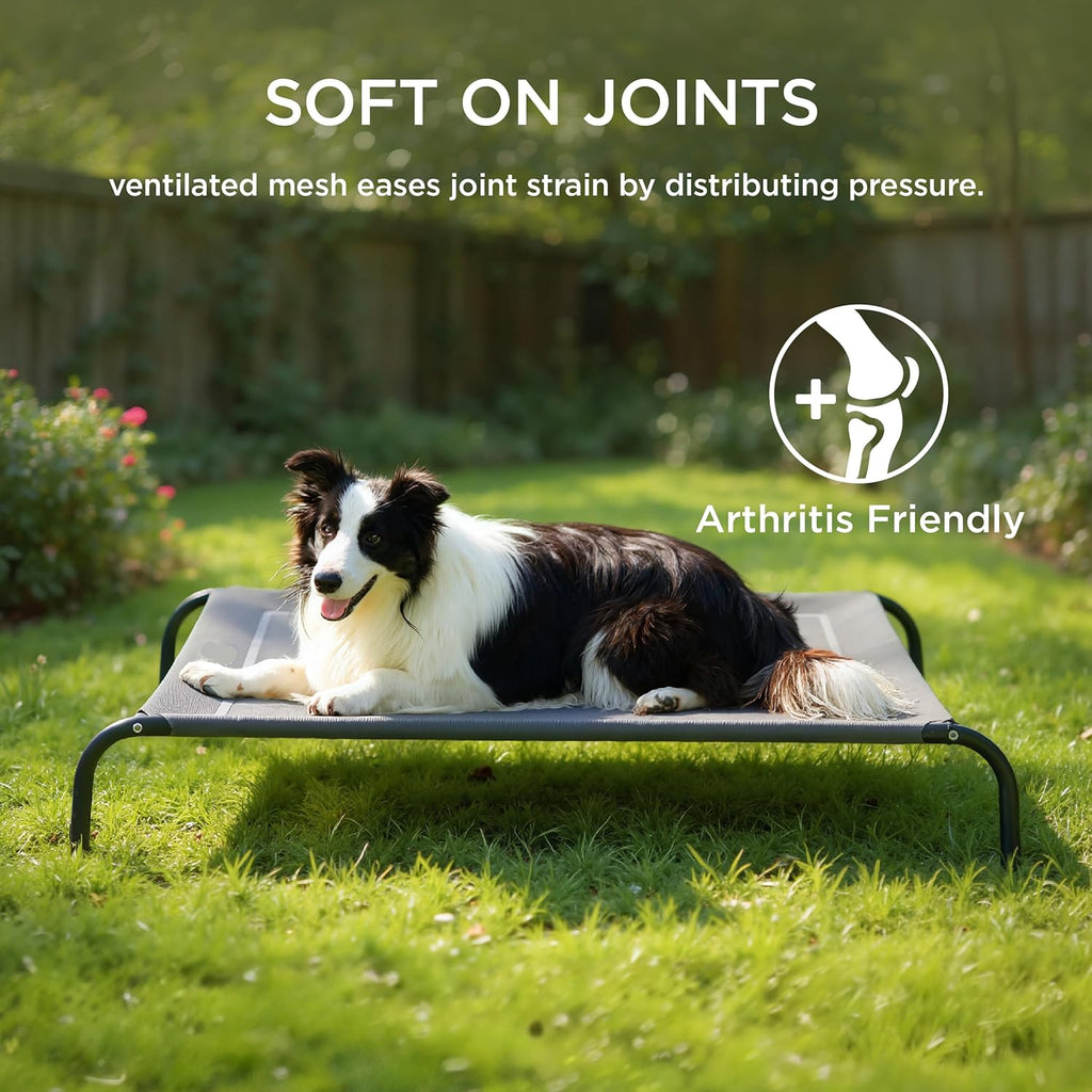 Poupipets Elevated Cooling Dog Bed with Breathable Teslin Mesh for Indoor & Outdoor Use