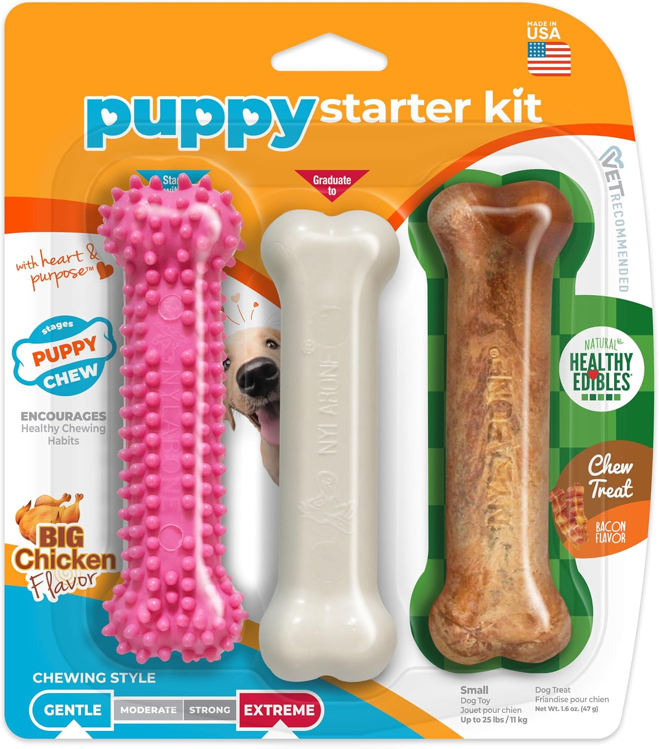 Dailypets Puppy Teething Chew Toy with Gum Massaging Texture and Bacon Flavor