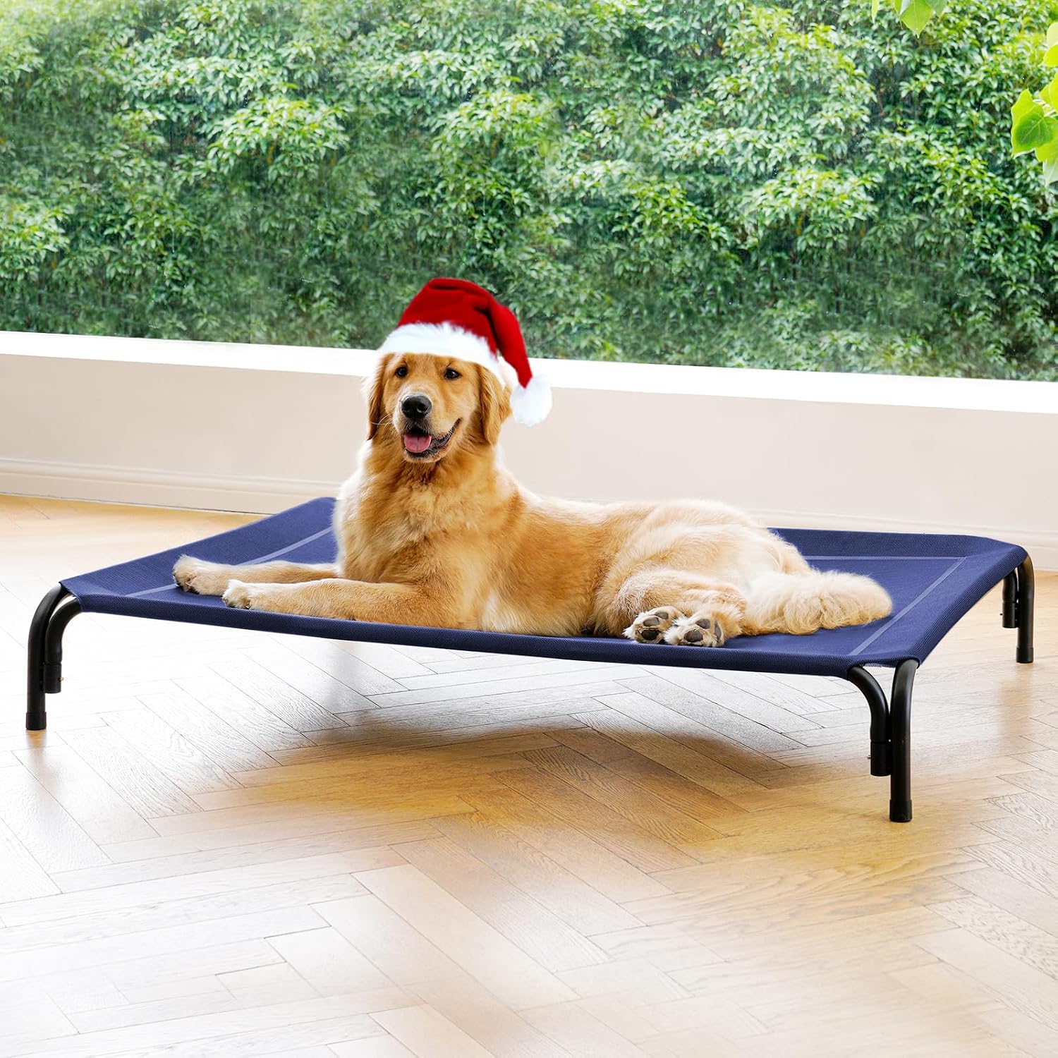 Poupipets Elevated Dog Resting Bed with Durable Frame and Easy-Clean Mesh Cover