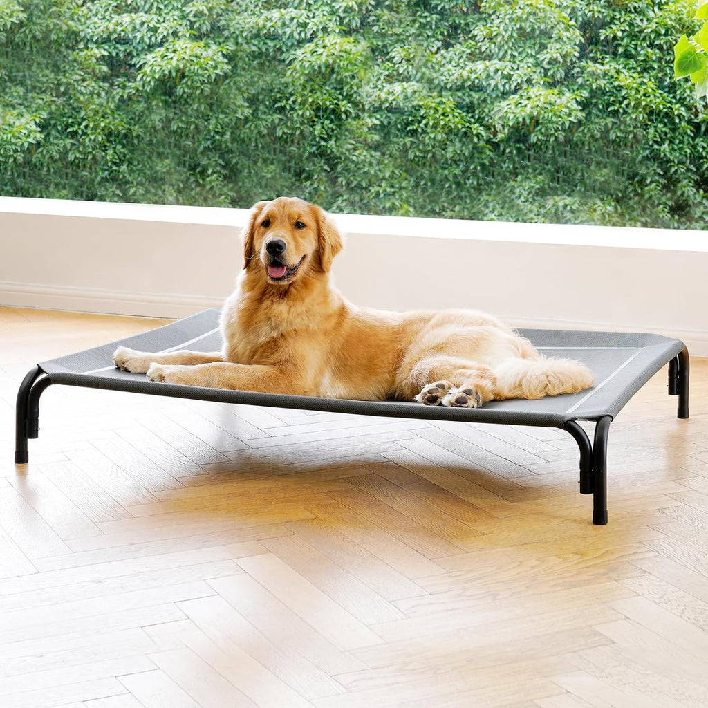 Poupipets Elevated Dog Resting Bed with Durable Frame and Easy-Clean Mesh Cover