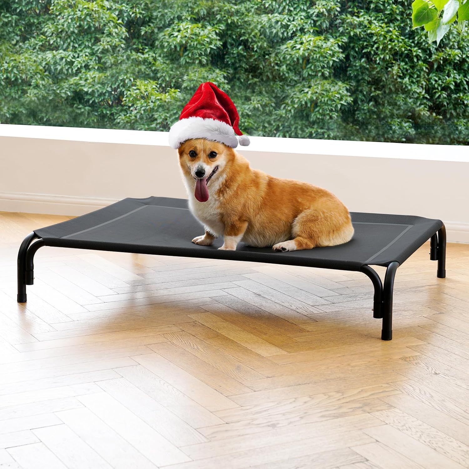 Poupipets Elevated Dog Resting Bed with Durable Frame and Easy-Clean Mesh Cover