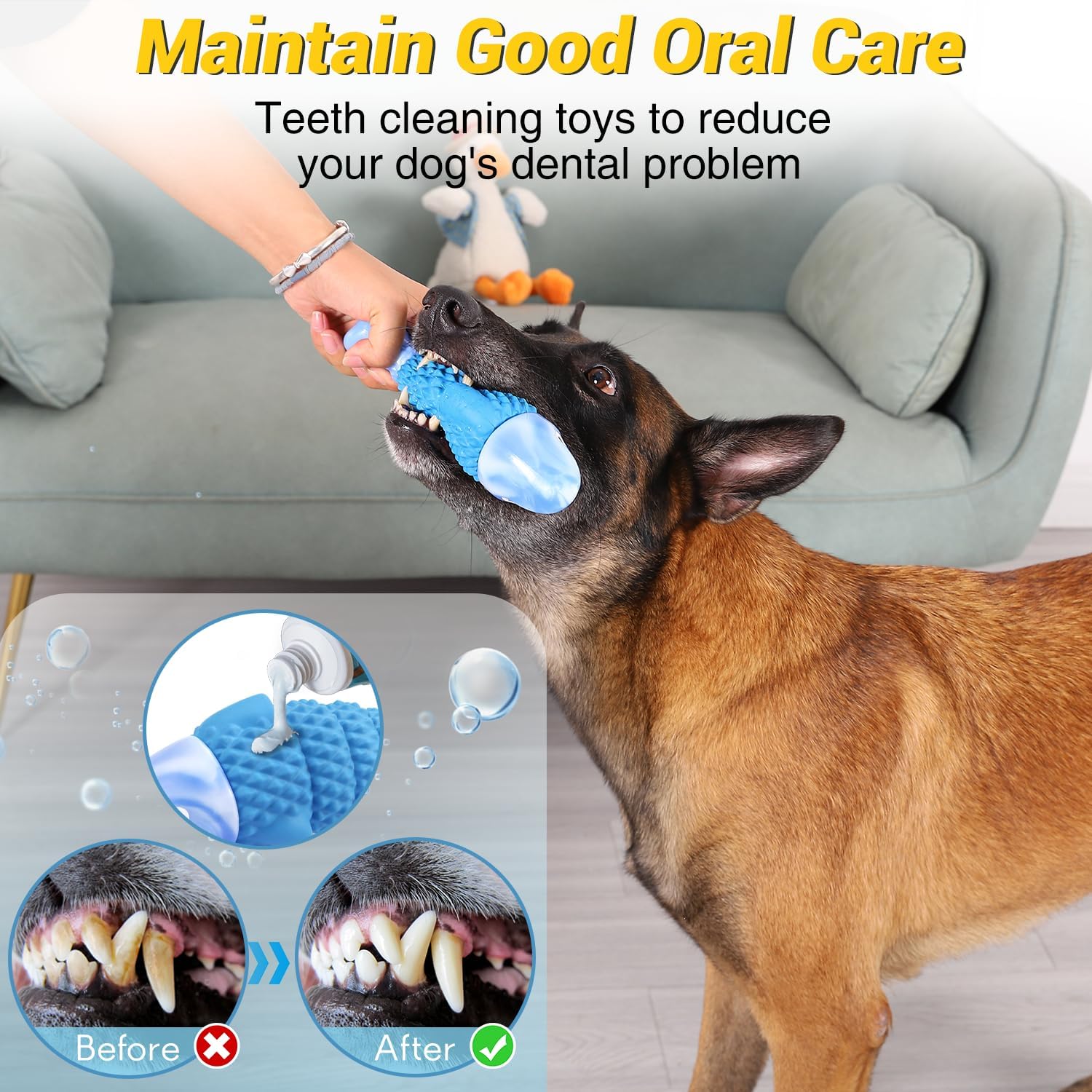 Dailypets Durable Shark Dog Chew Toy with Squeaker for Strong Chewers Bacon Flavor