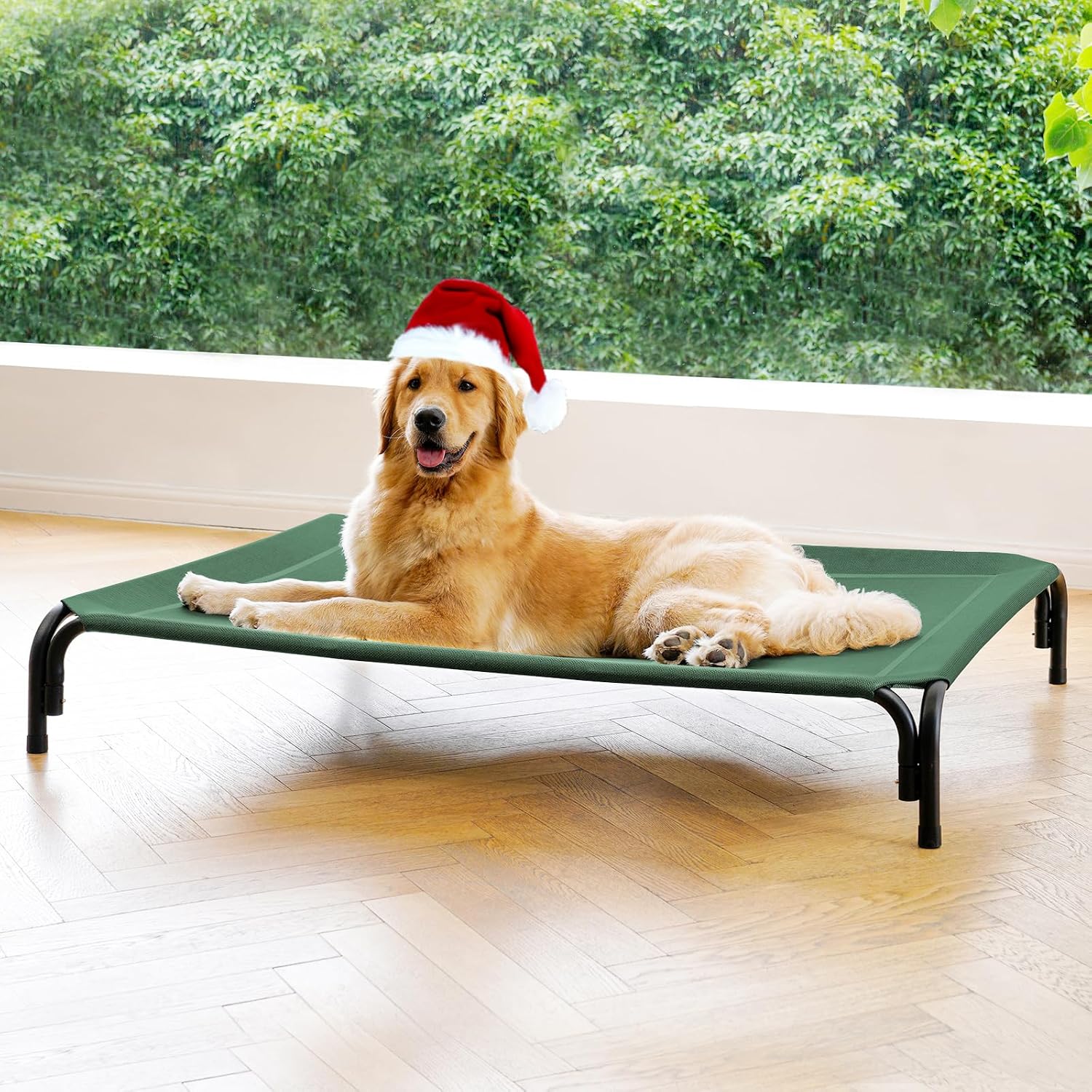 Poupipets Elevated Dog Resting Bed with Durable Frame and Easy-Clean Mesh Cover