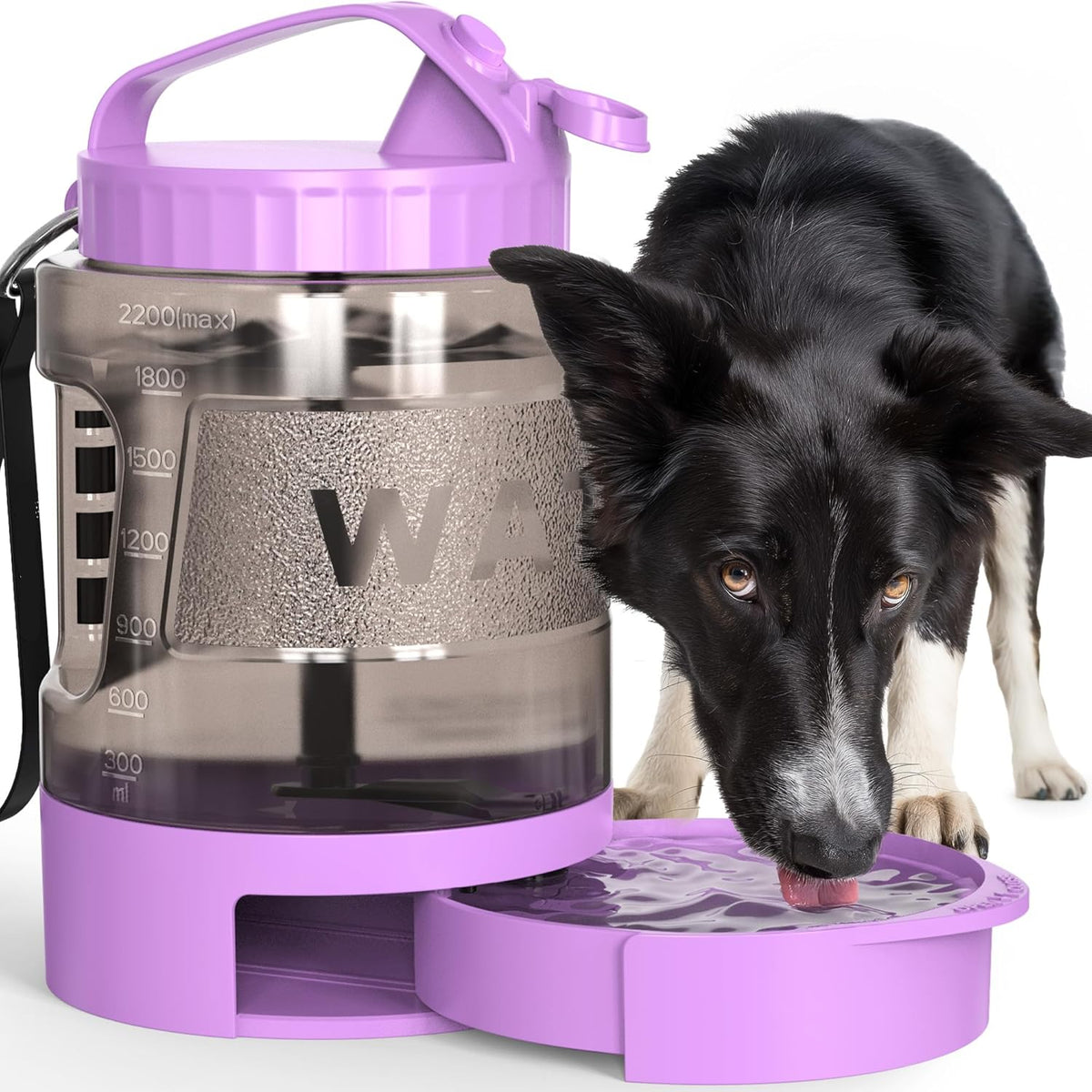 Poupipets Portable Dog Water Bottle with Built-In Drinking Bowl for Travel, Hiking and Camping
