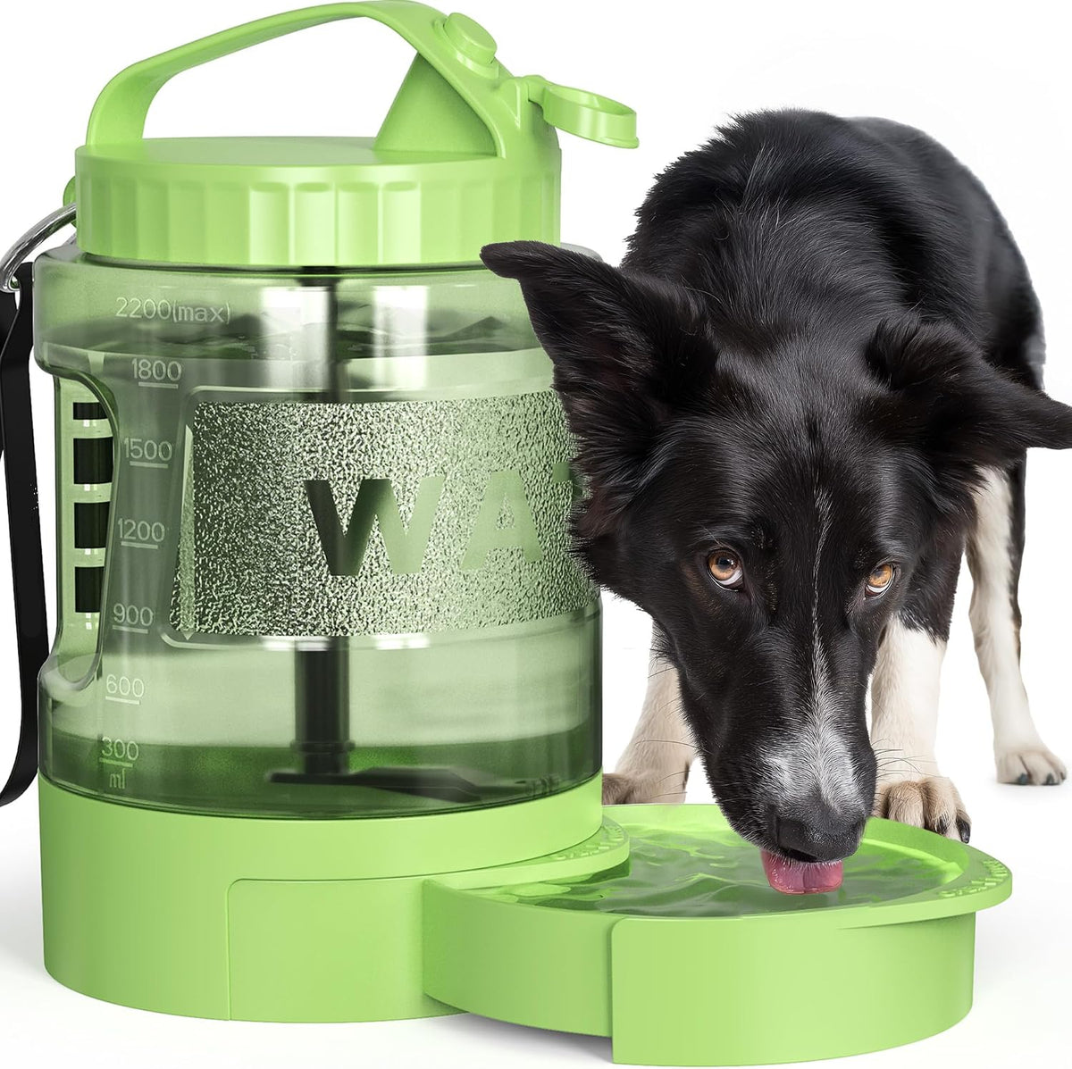 Poupipets Portable Dog Water Bottle with Built-In Drinking Bowl for Travel, Hiking and Camping
