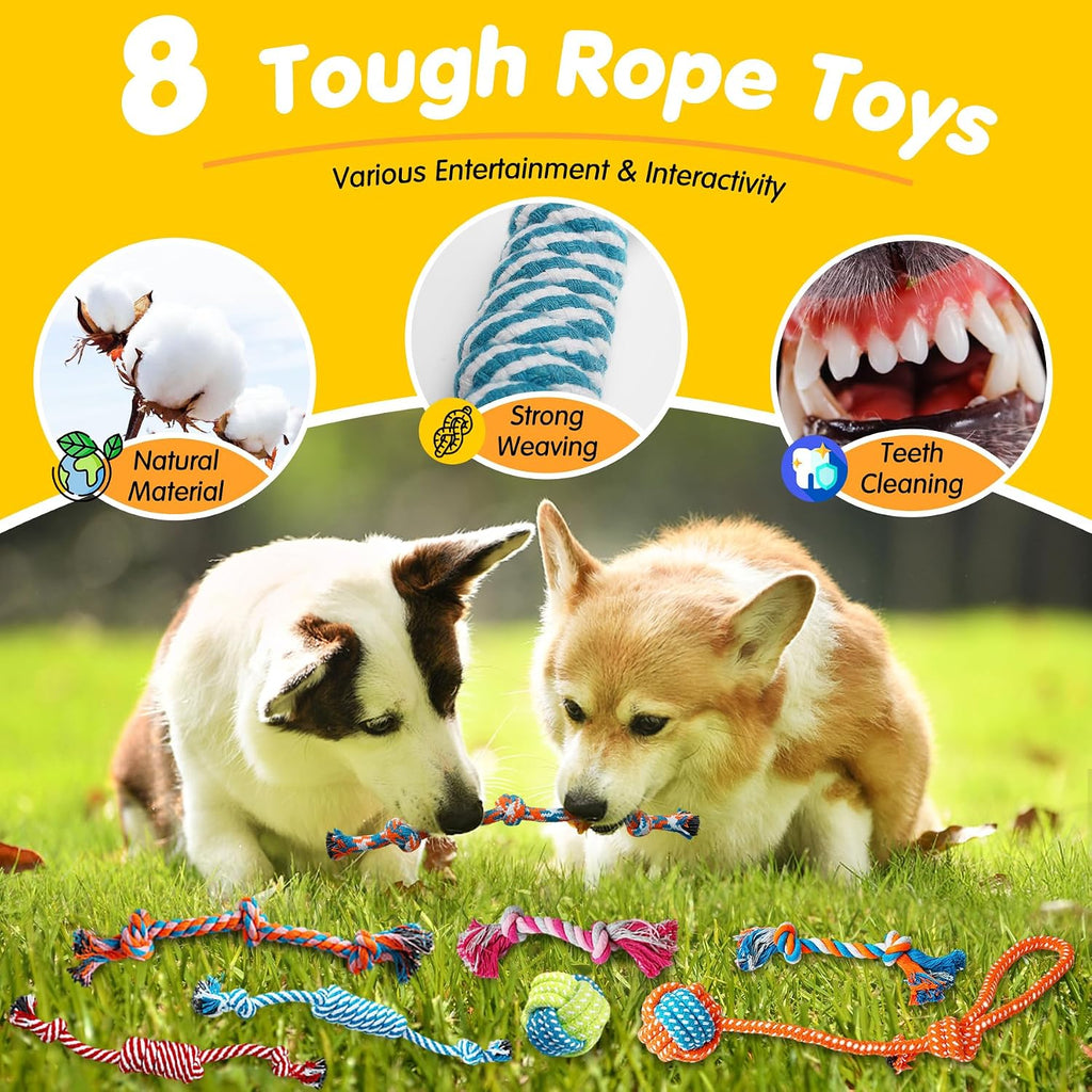 Dailypets 25 Piece Puppy Toy Set with Rope Toys Plush Toys Treat Ball and Rubber Chews