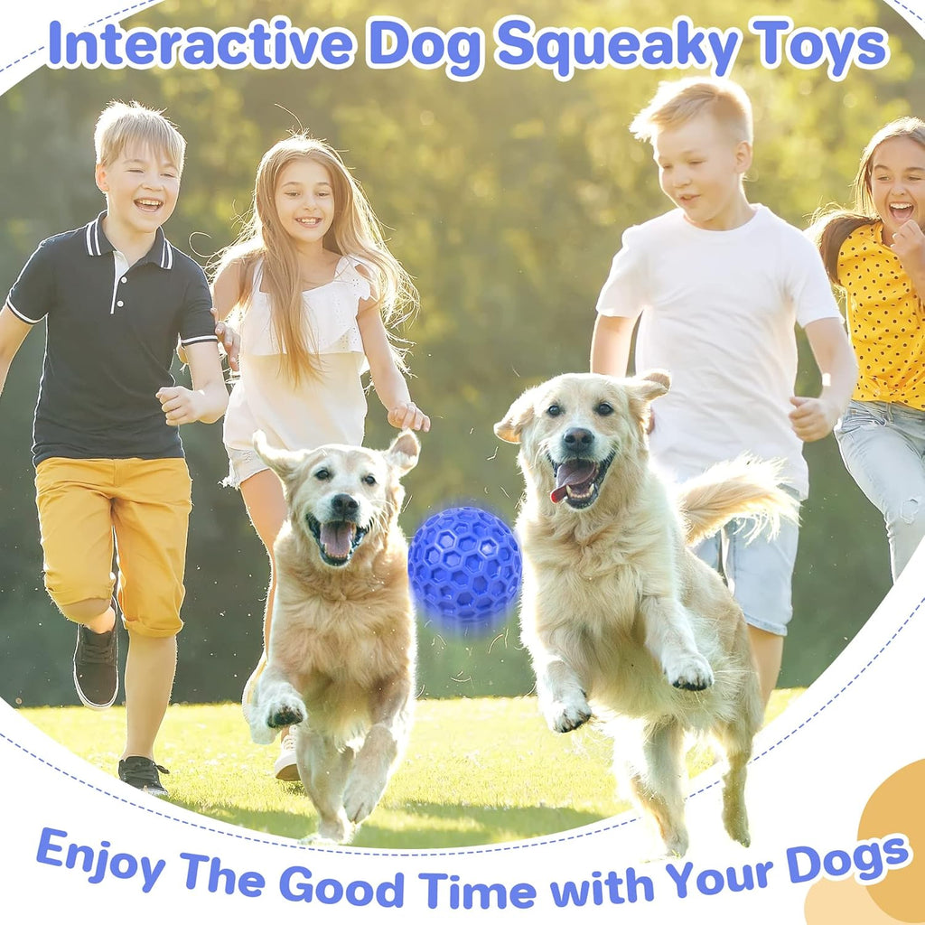 Dailypets Squeaky Dog Chew Ball with Treat Dispensing Texture for Large Breed Dogs