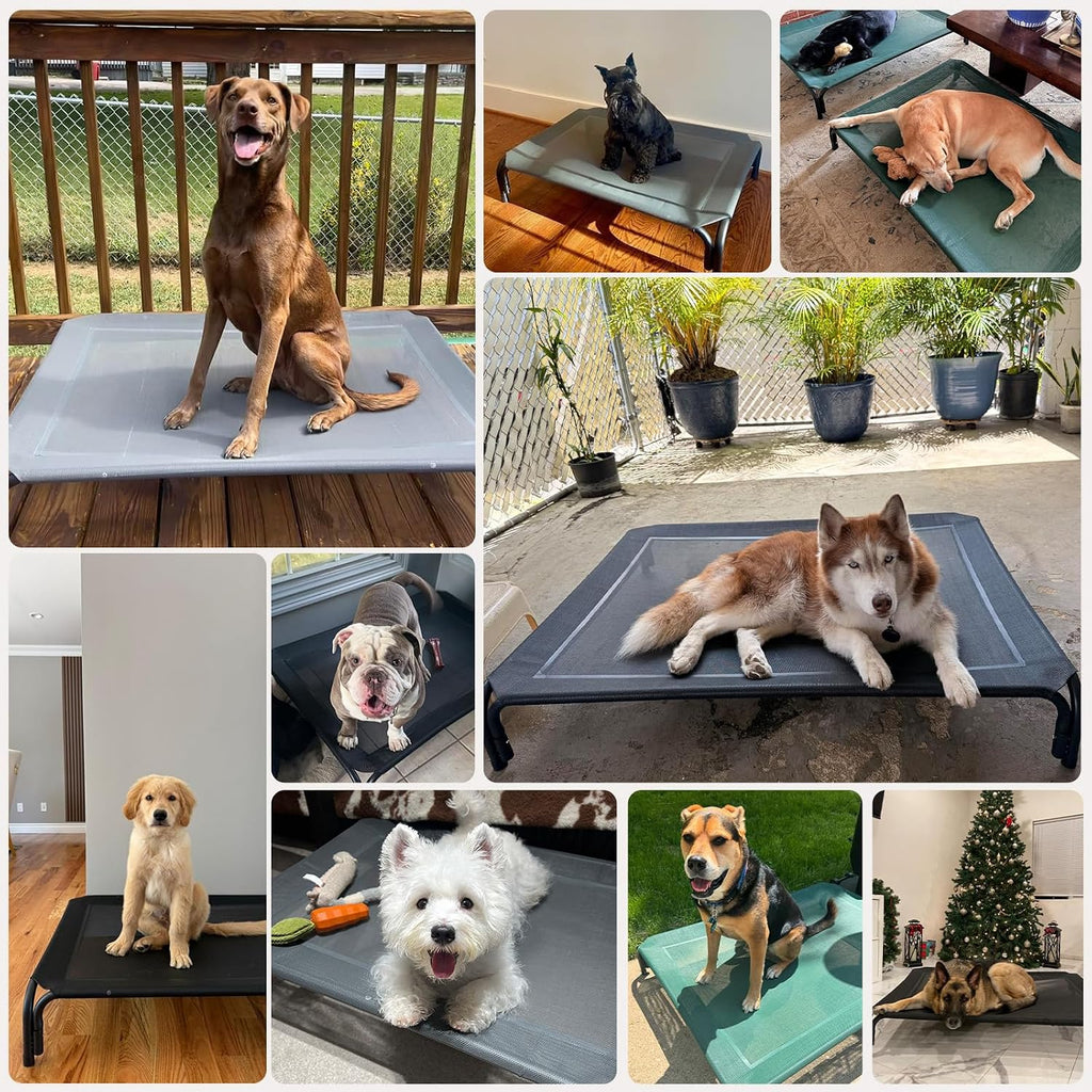 Poupipets Elevated Dog Resting Bed with Durable Frame and Easy-Clean Mesh Cover