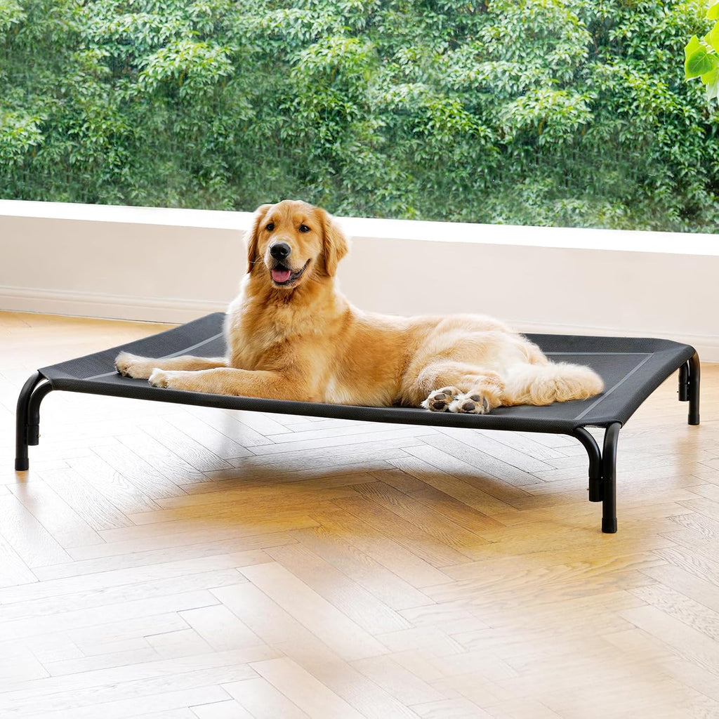 Poupipets Elevated Dog Resting Bed with Durable Frame and Easy-Clean Mesh Cover