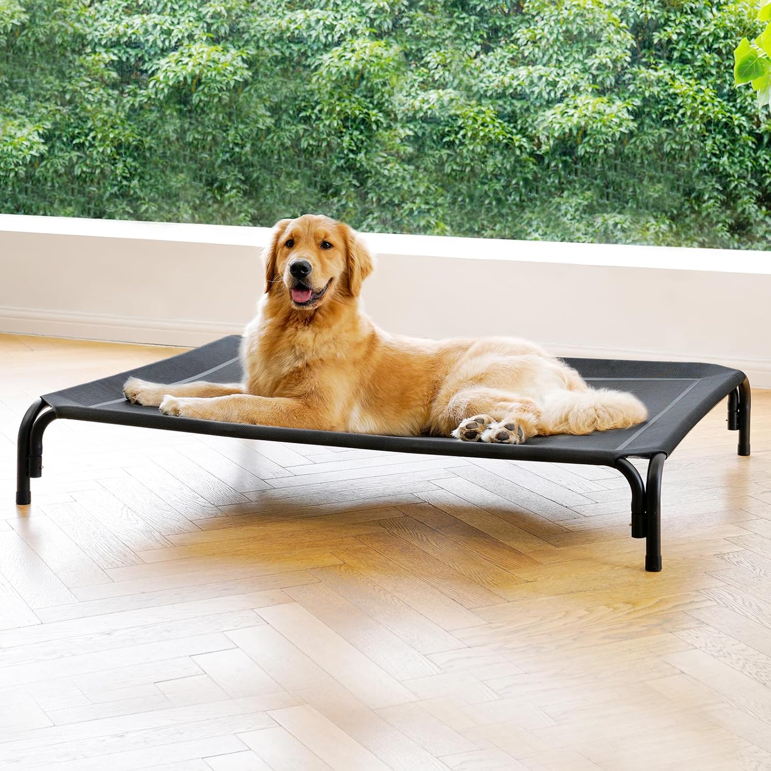 Poupipets Elevated Dog Resting Bed with Durable Frame and Easy-Clean Mesh Cover