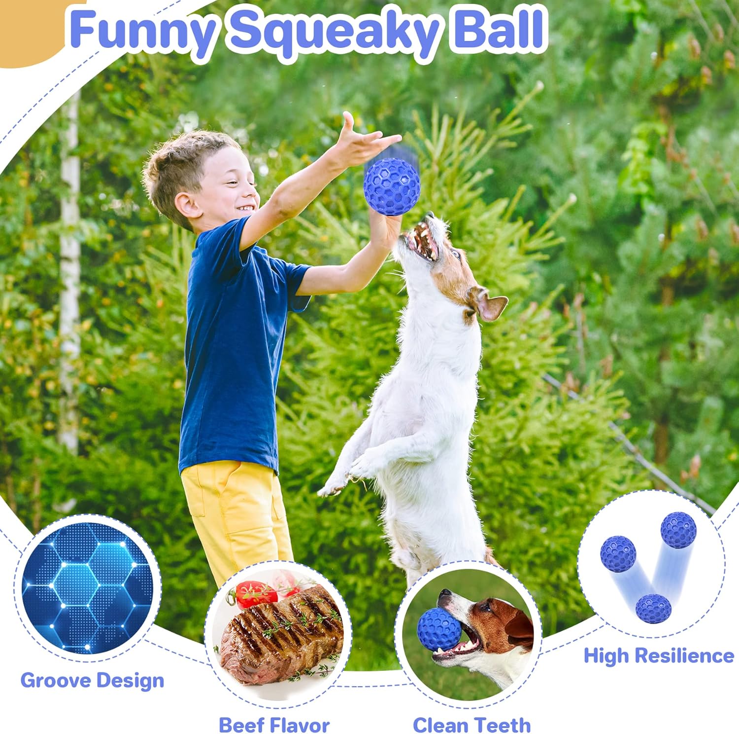 Dailypets Squeaky Dog Chew Ball with Treat Dispensing Texture for Large Breed Dogs
