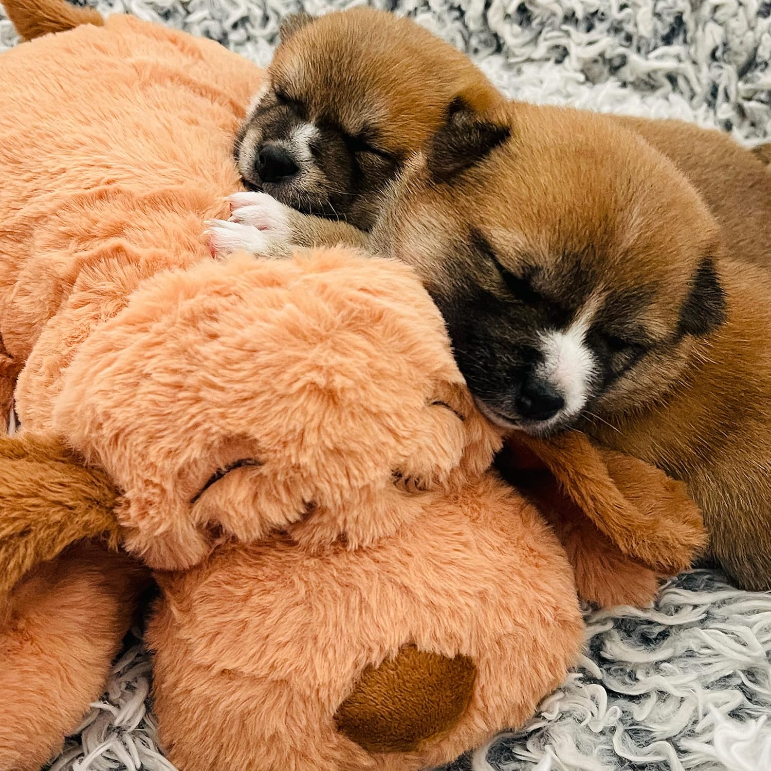 Dailypets Puppy Comfort Plush Toy with Heartbeat and Heat Pack for Rest and Sleep