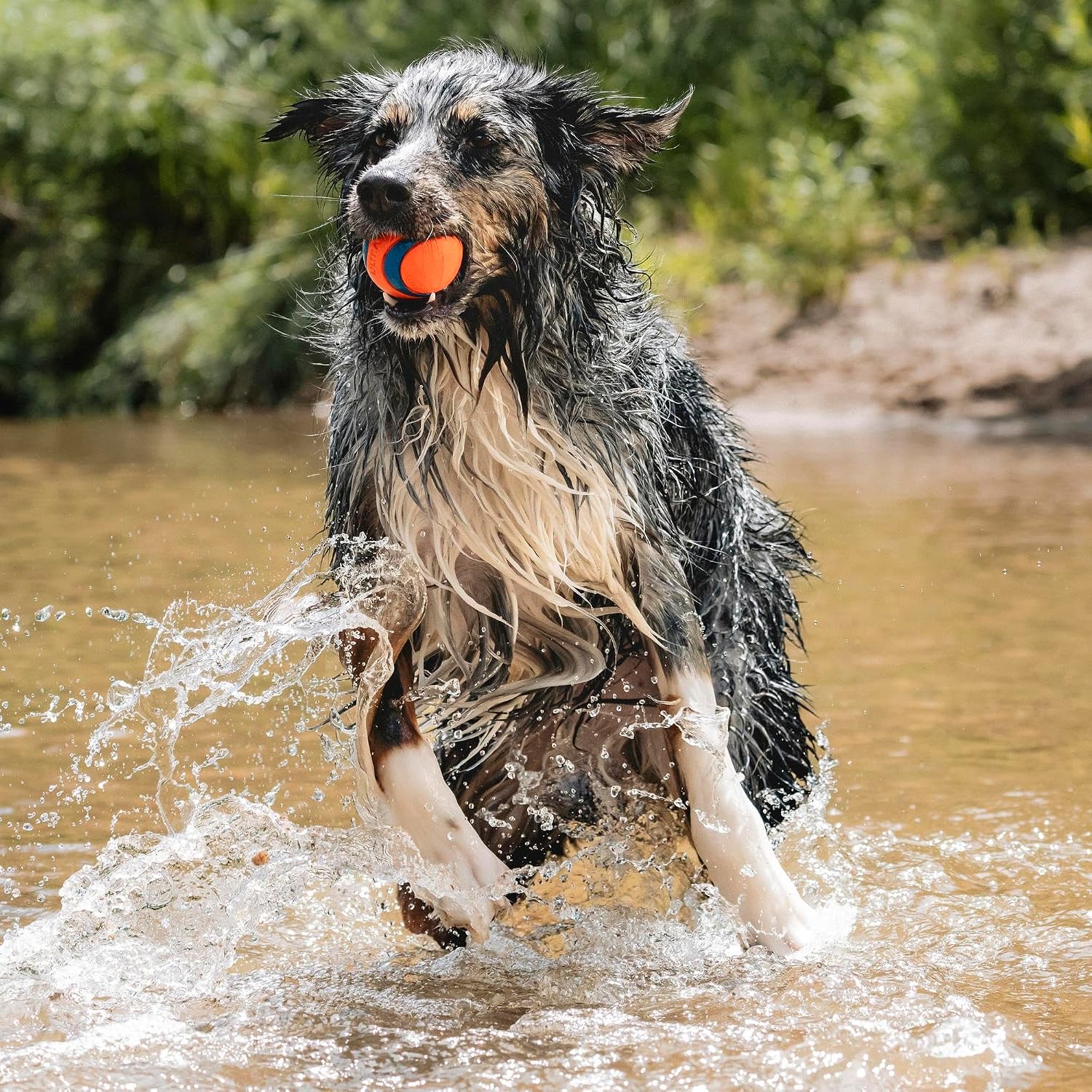Dailypets Large Rubber Fetch Ball for Dogs with High Bounce Floating Design