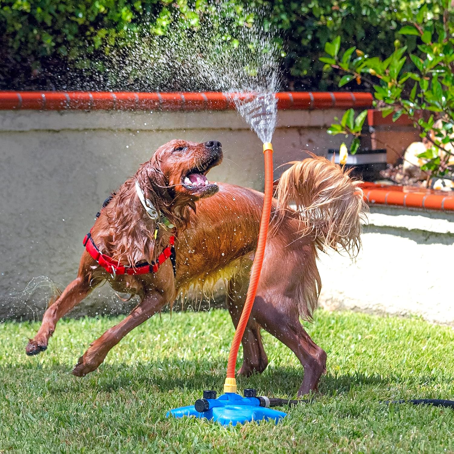 Poupipets Interactive Dog Water Sprinkler Toy with Dual Spray Hoses for Outdoor Summer Play