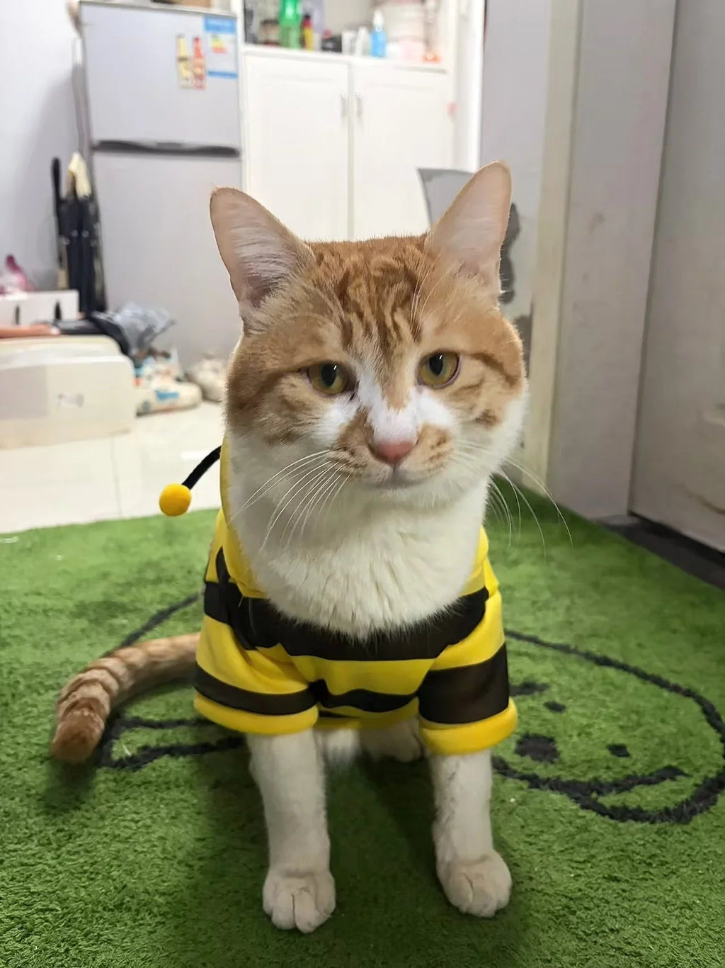 Dailypets Bumble Bee Cat Hoodie for Indoor Cats with Cozy Everyday Comfort