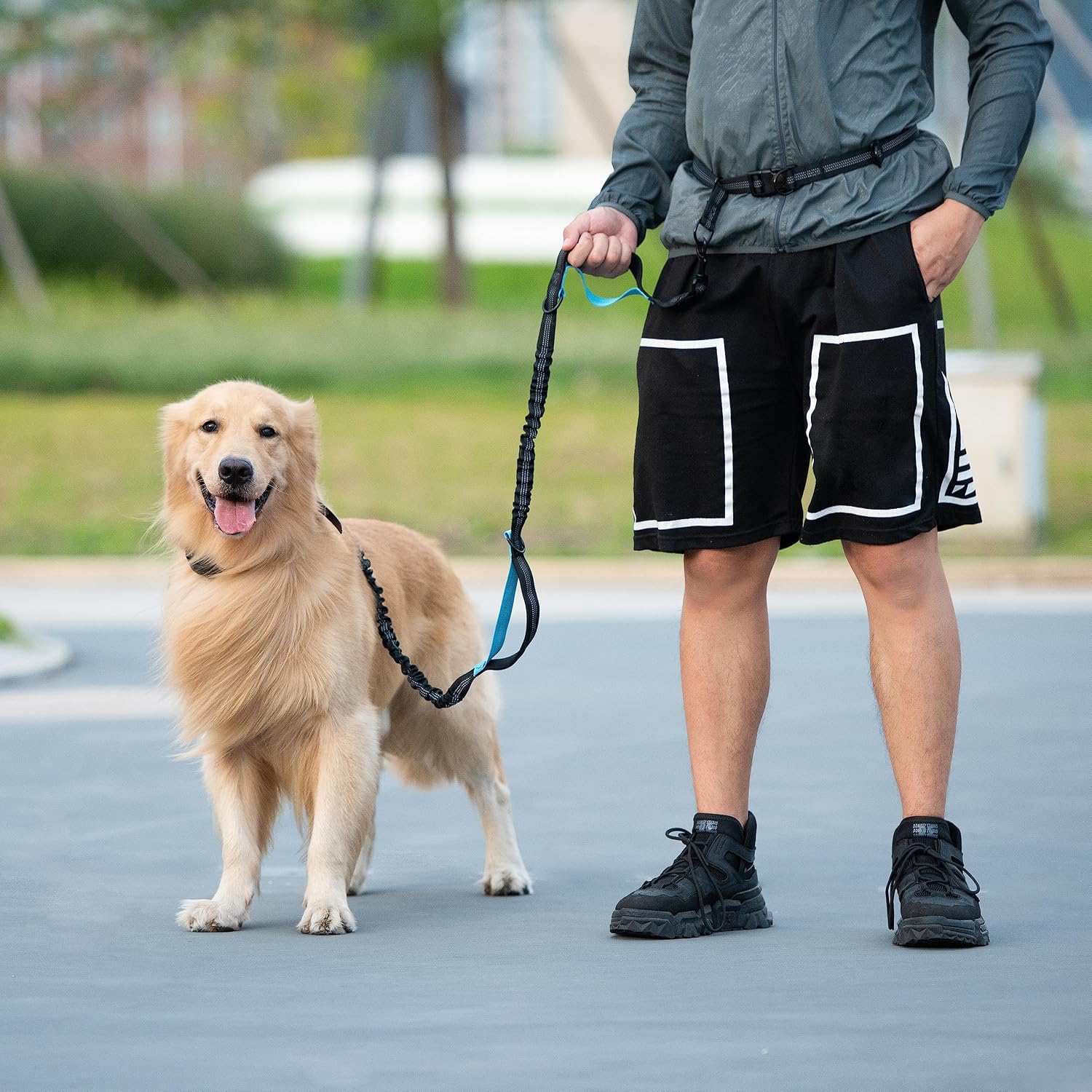 Poupipets Running Dog Waist Leash with Dual Padded Handles and Shock-Absorbing Bungee