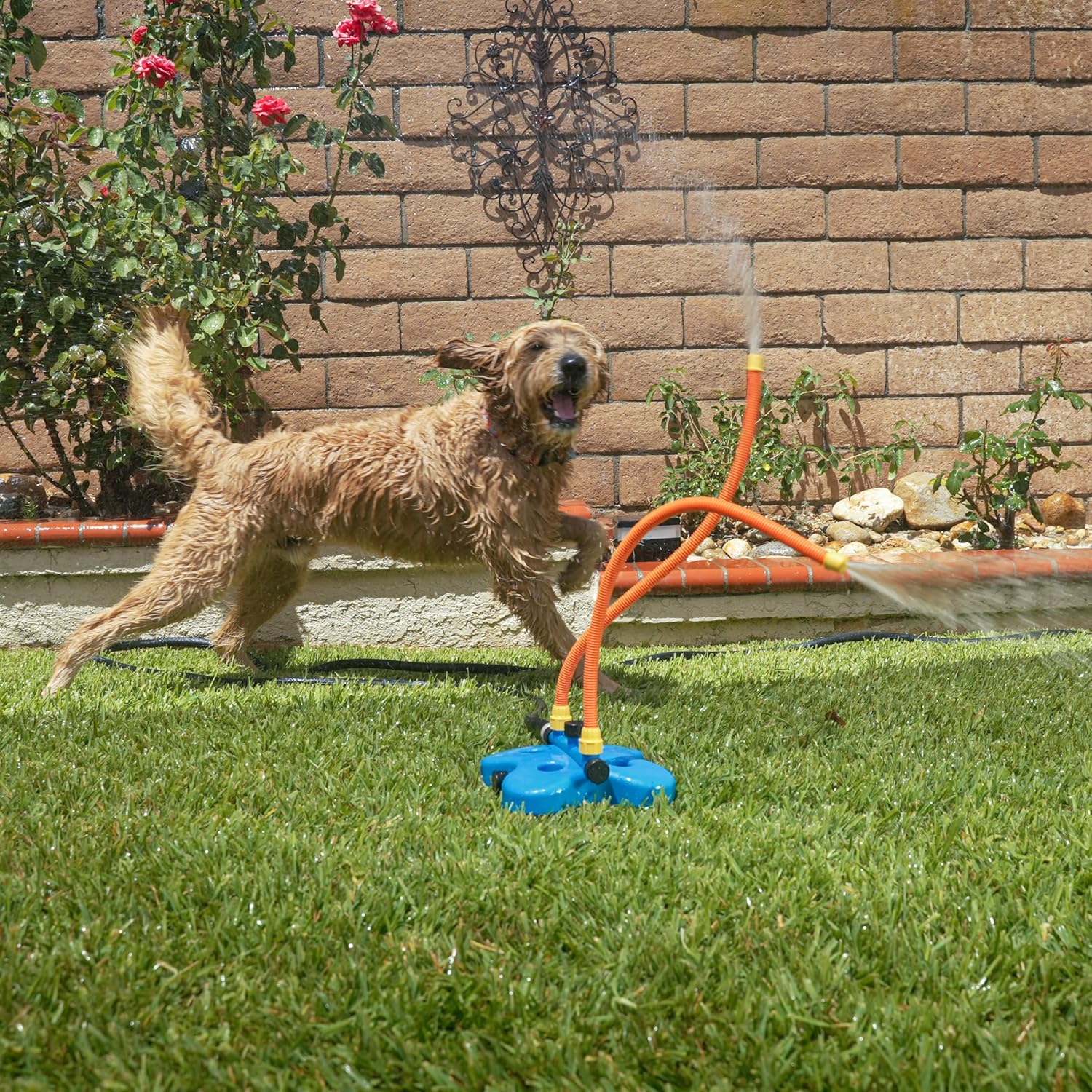 Poupipets Interactive Dog Water Sprinkler Toy with Dual Spray Hoses for Outdoor Summer Play
