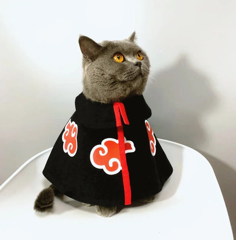 Dailypets Black Cat Cape with Red Cloud Design for Photo Sessions