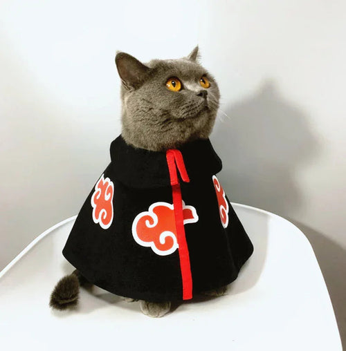 Dailypets Black Cat Cape with Red Cloud Design for Photo Sessions