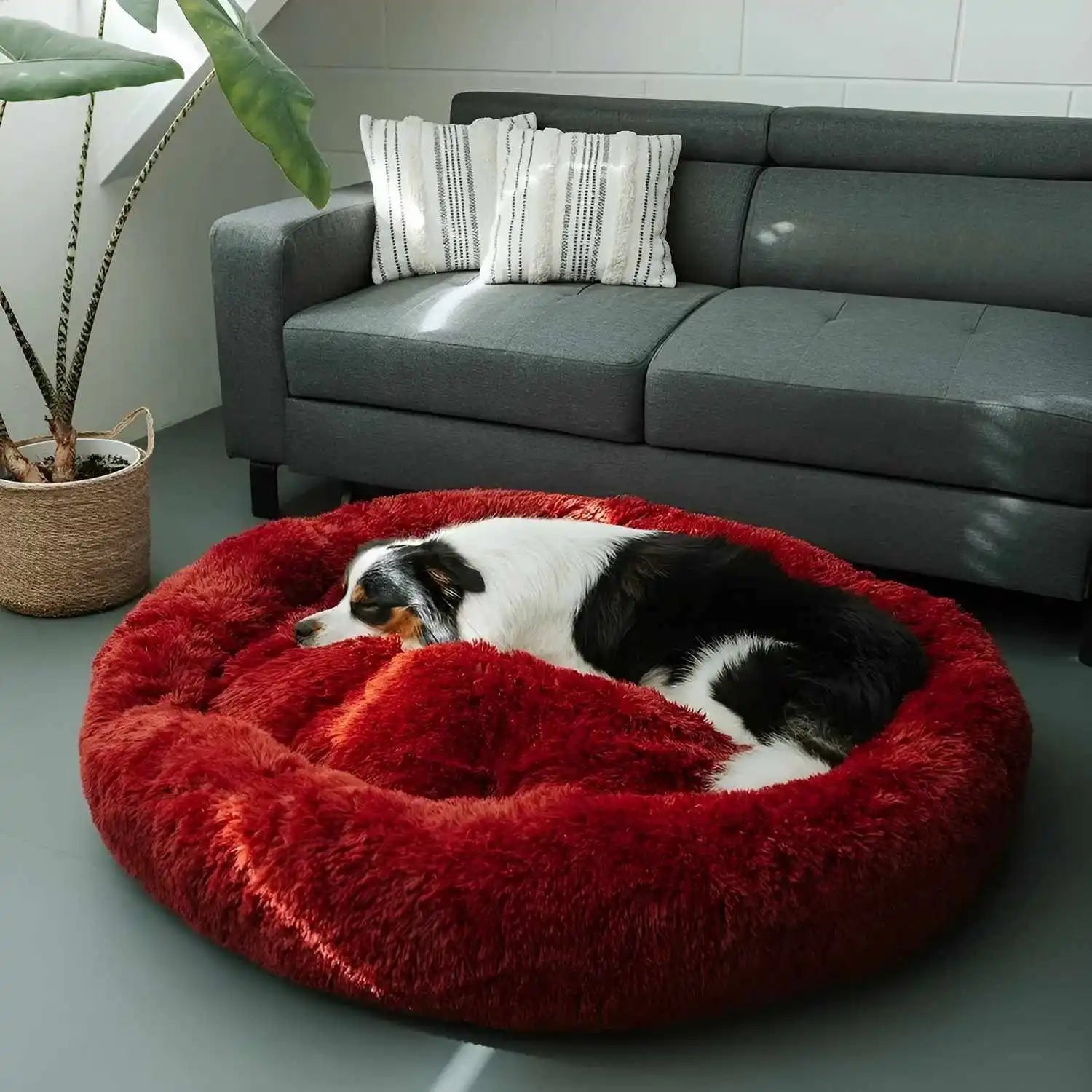 Dailypets Cozy Dog Donut Bed, Fluffy Resting Bed for Small to Large Breeds