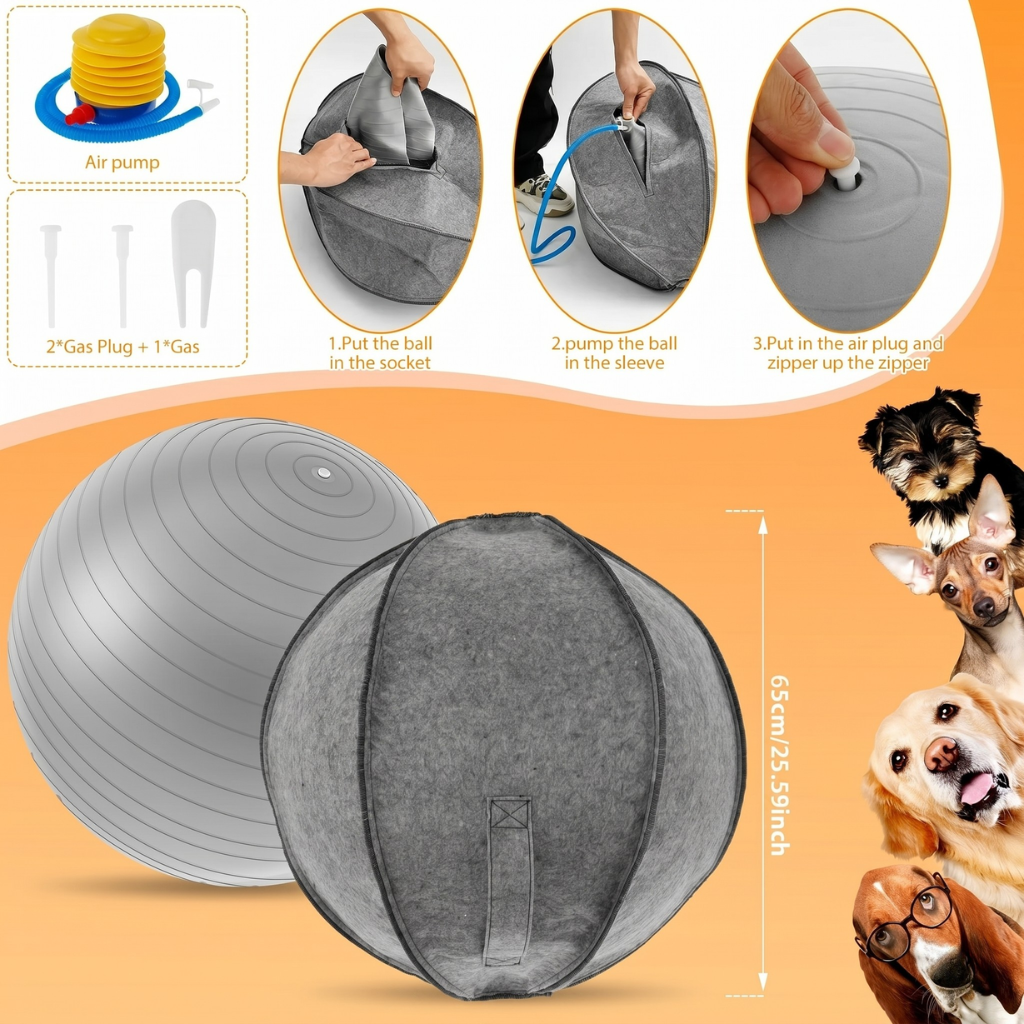 Dailypets Large Herding Ball for Dogs – Outdoor Training & Enrichment