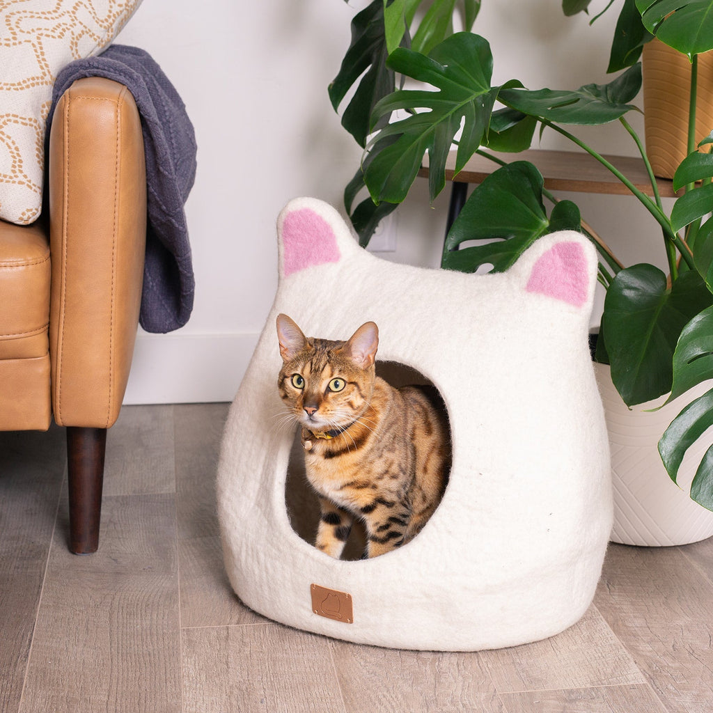 Dailypets Wool Cat Cave with Accent Ears
