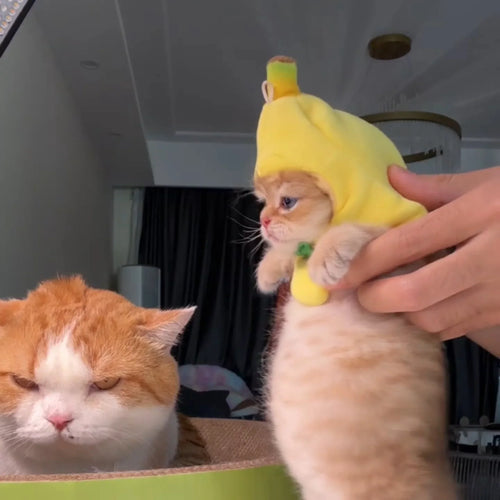Dailypets Banana Cat Costume with Soft Lightweight Fabric and Green Bow Tie