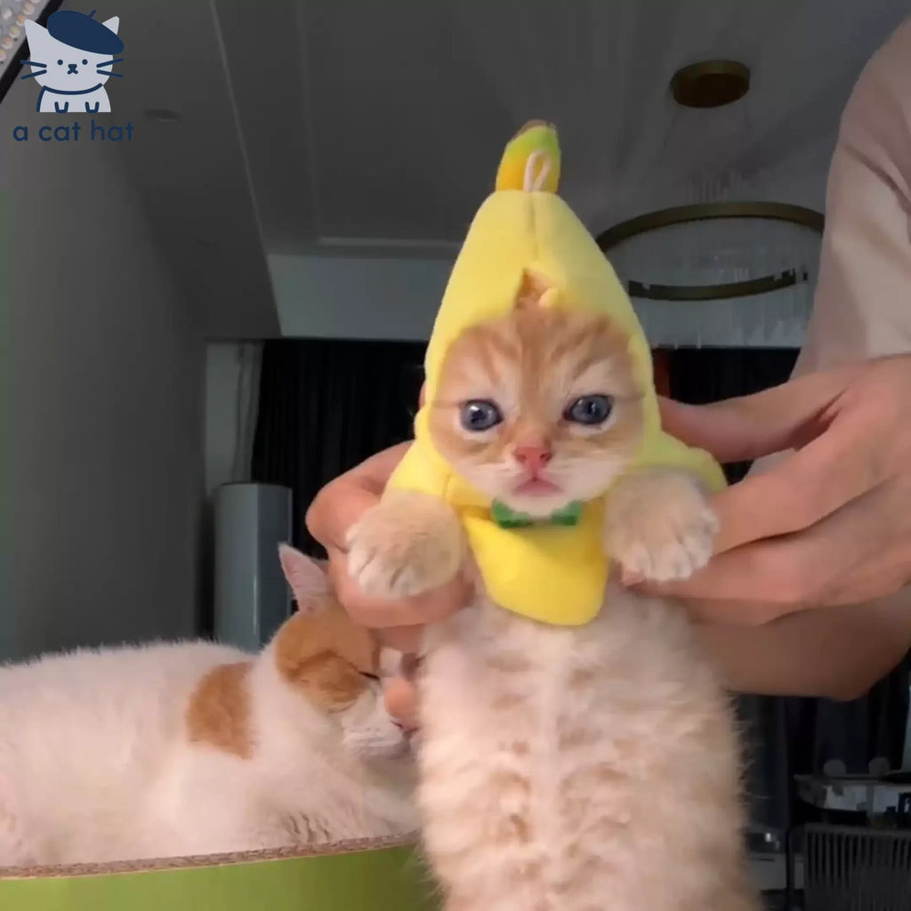 Dailypets Banana Cat Costume with Soft Lightweight Fabric and Green Bow Tie