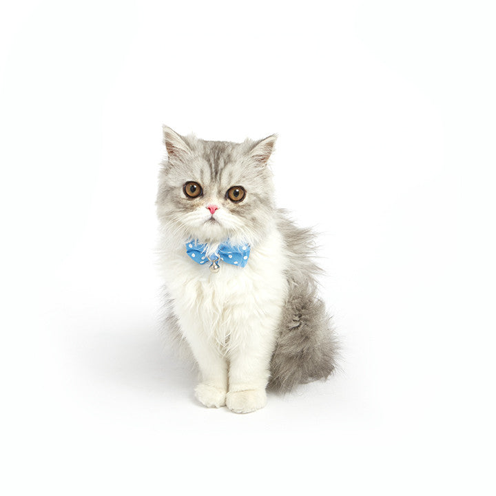 Dailypets Polka Dot Bow Tie Cat Collar with Bell