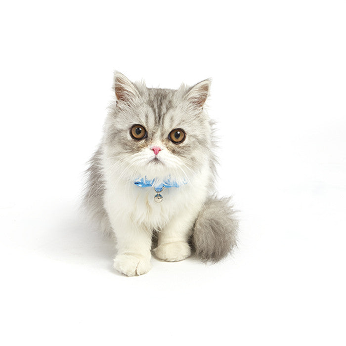 Dailypets Polka Dot Bow Tie Cat Collar with Bell