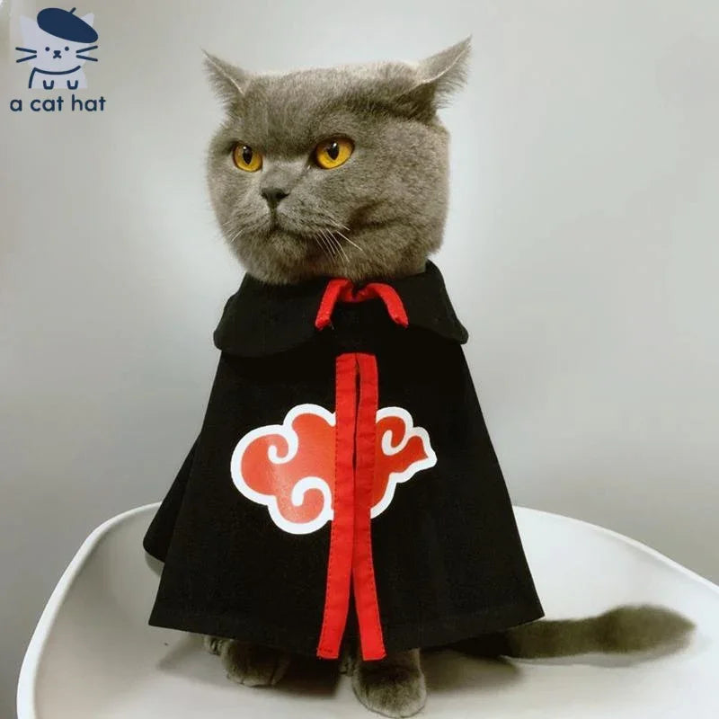 Dailypets Black Cat Cape with Red Cloud Design for Photo Sessions
