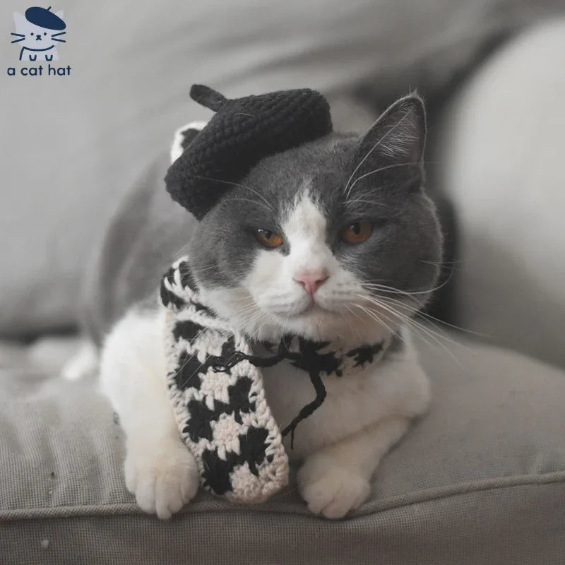 Dailypets Artist Beret and Plaid Scarf Set for Stylish Indoor Cats