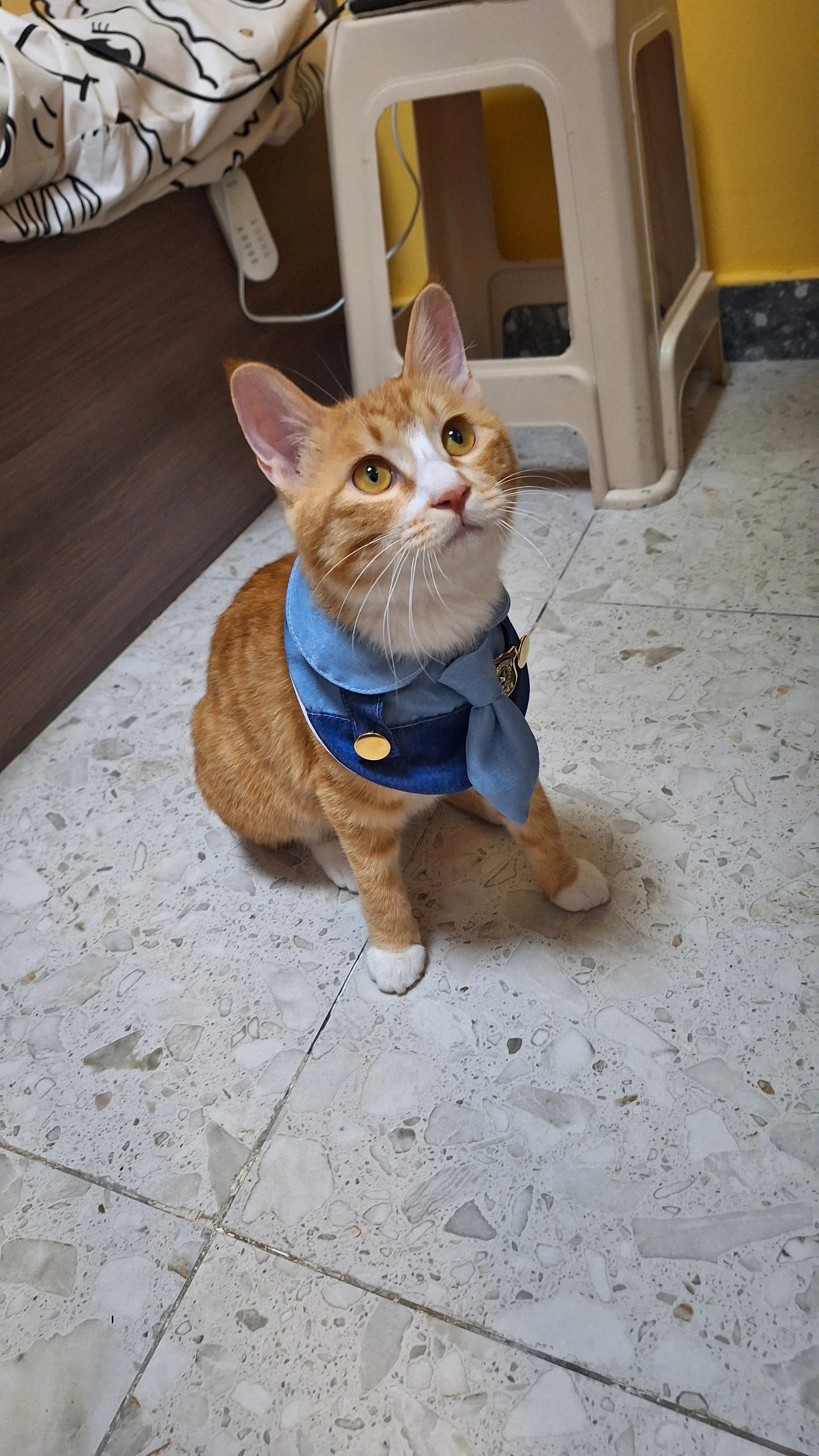 Dailypets Police Officer Cat Costume Set with Uniform Top and Matching Hat