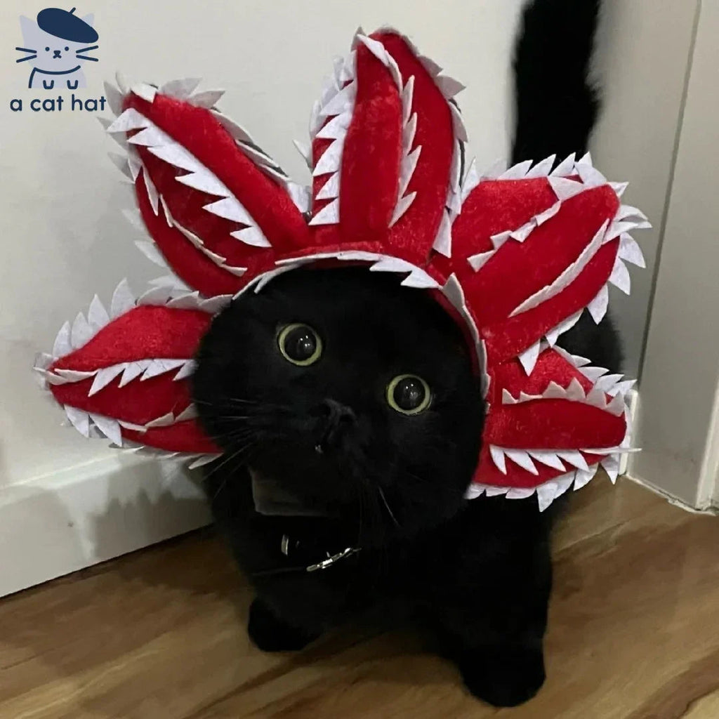 Dailypets Creature-Inspired Pet Flower Collar for Cats and Photo Sessions