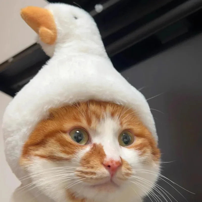 Dailypets Plush Animal Cat Hat for Parties and Memorable Photos