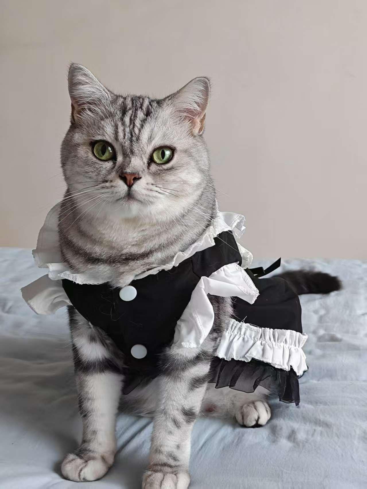 Dailypets Vintage-Inspired Maid Cat Dress with Frills and Decorative Apron Style