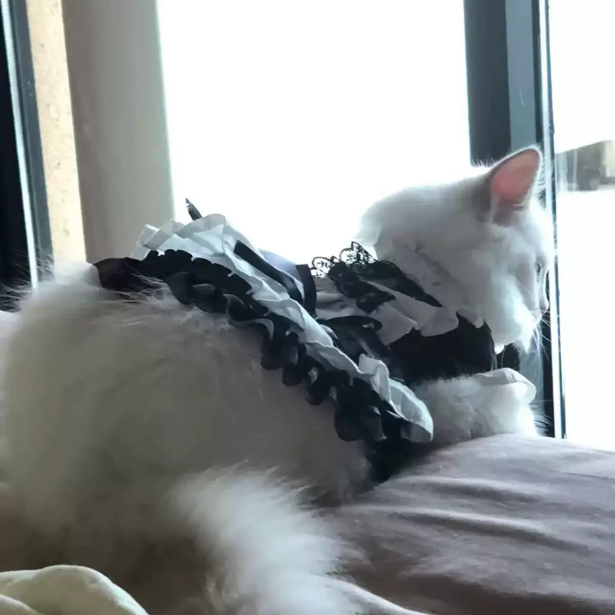 Dailypets Vintage-Inspired Maid Cat Dress with Frills and Decorative Apron Style