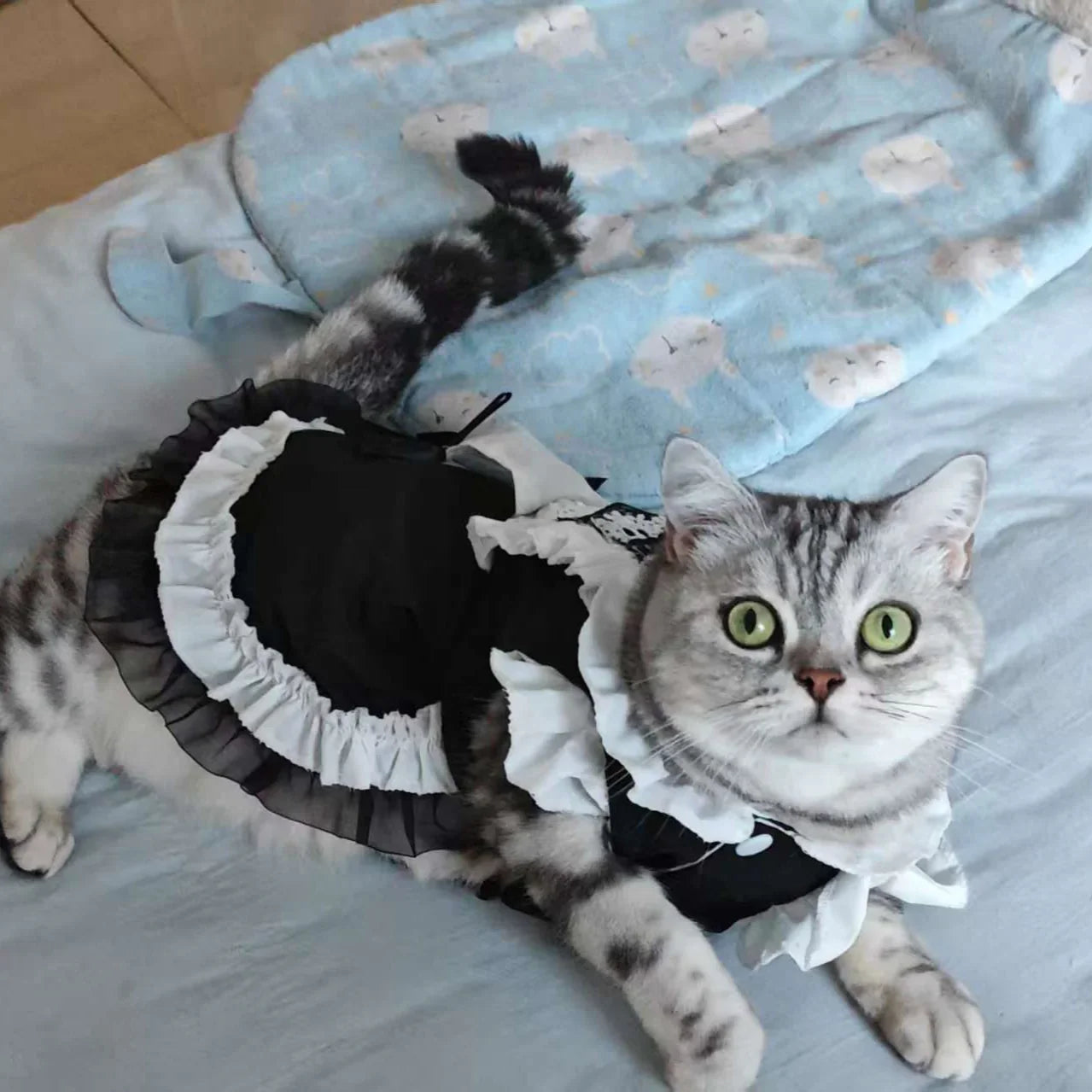 Dailypets Vintage-Inspired Maid Cat Dress with Frills and Decorative Apron Style