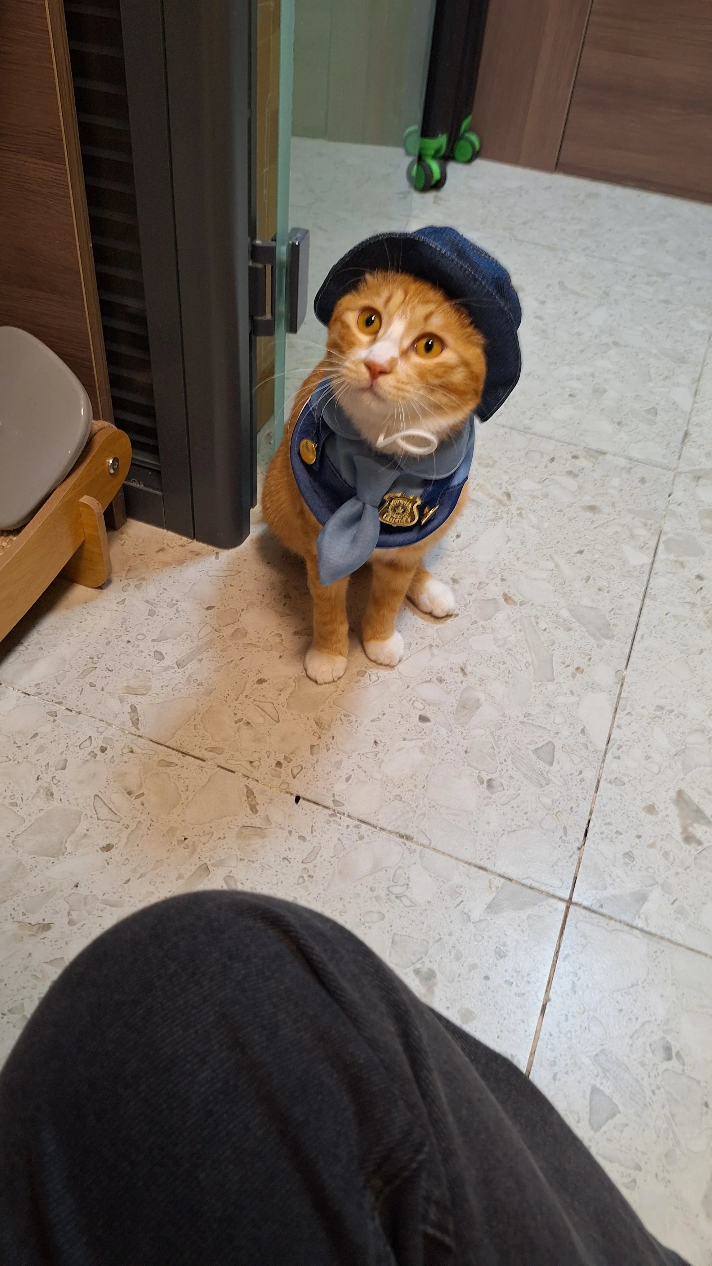 Dailypets Police Officer Cat Costume Set with Uniform Top and Matching Hat