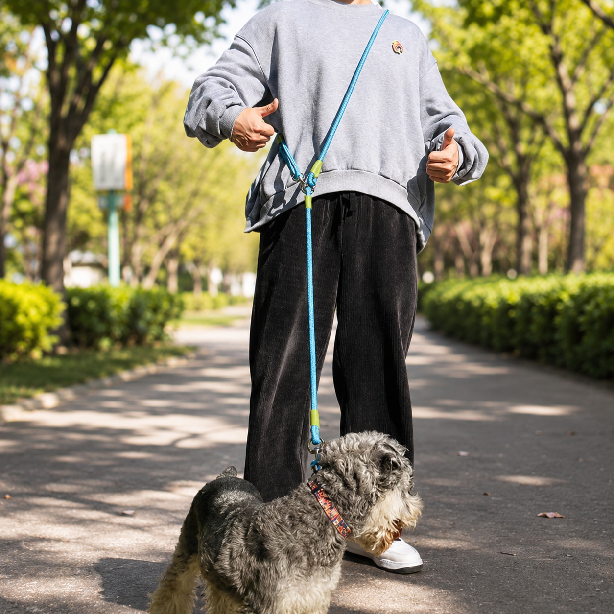 Dailypets Reflective Hands-Free Dog Leash with Bite-Resistant Chain for Running & Walking