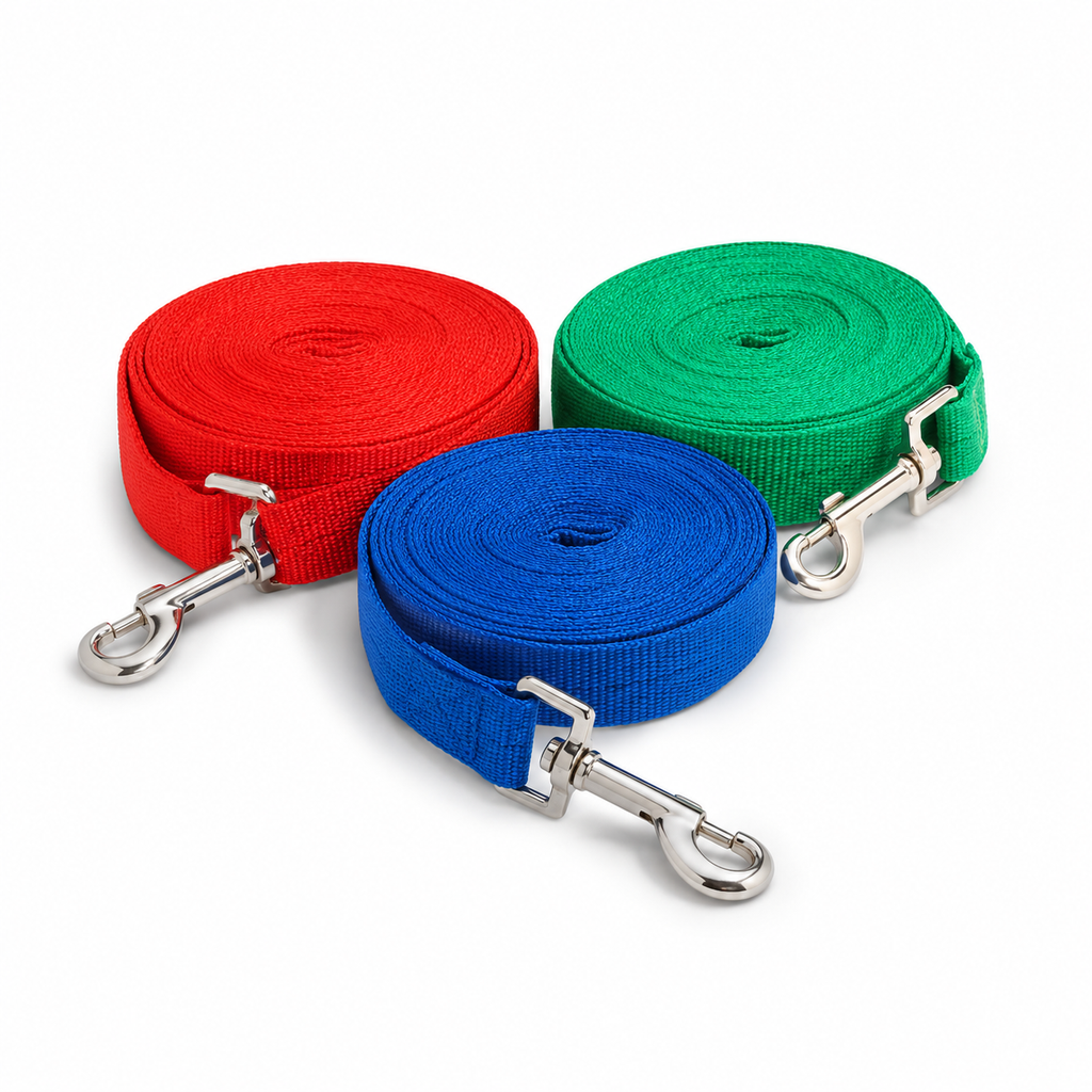 Dailypets Long Training Dog Leash with Durable Nylon Design for Recall and Obedience