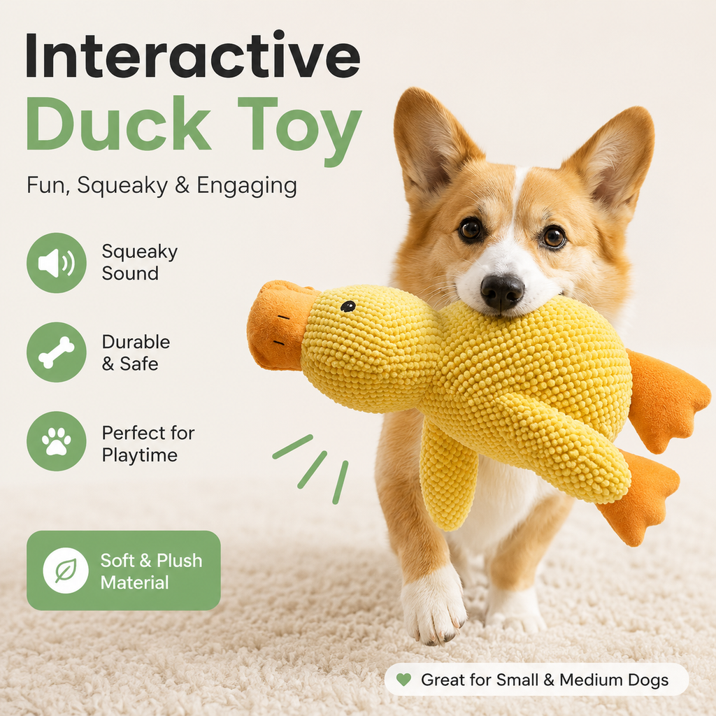 Dailypets Plush Duck Dog Toy with Soft Squeaker for Interactive Play