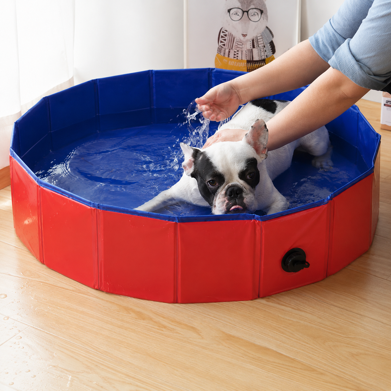 Dailypets Foldable Pet Pool with Portable Design for Outdoor Cooling and Summer Fun