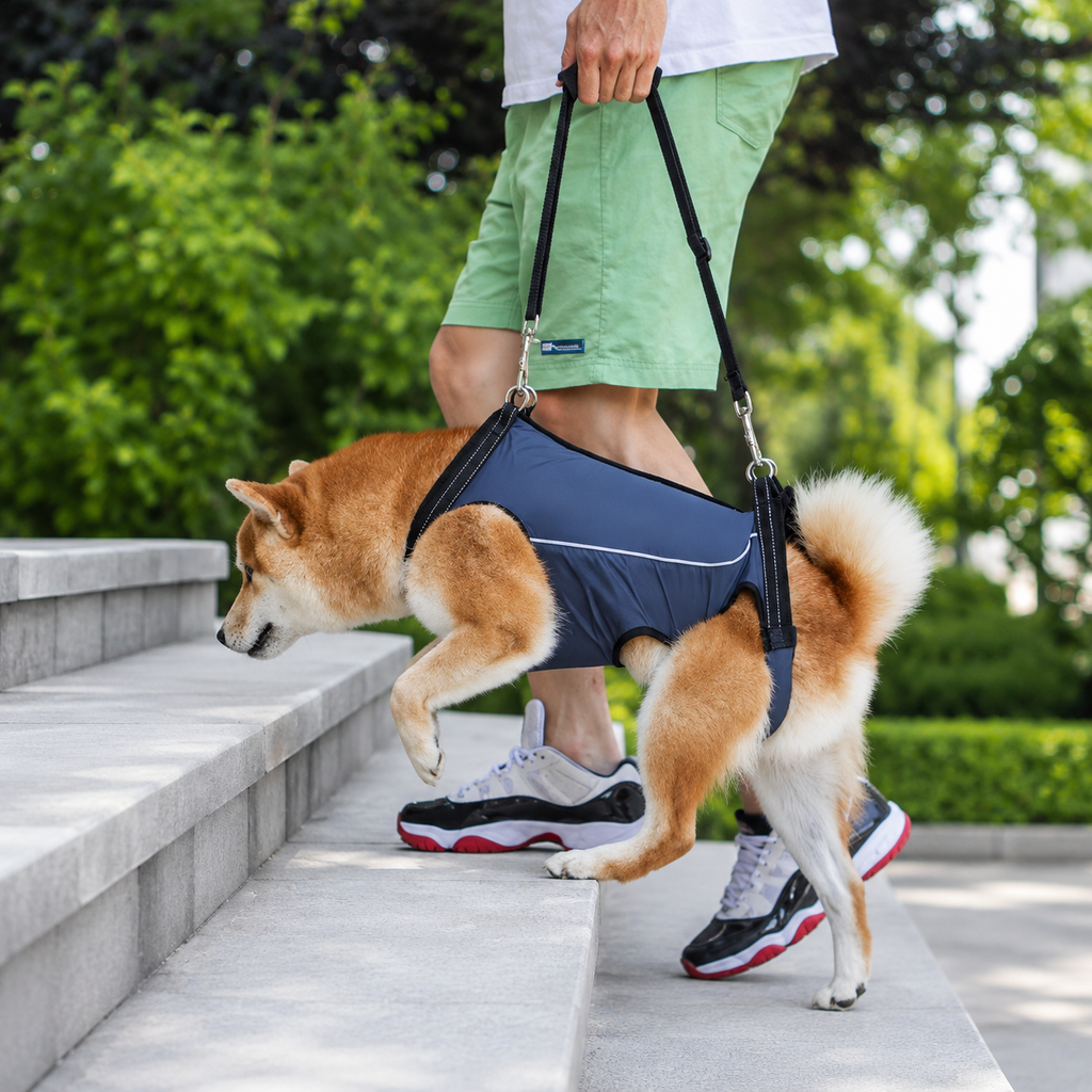 Dailypets Adjustable Dog Support Sling for Comfortable Mobility and Everyday Assistance