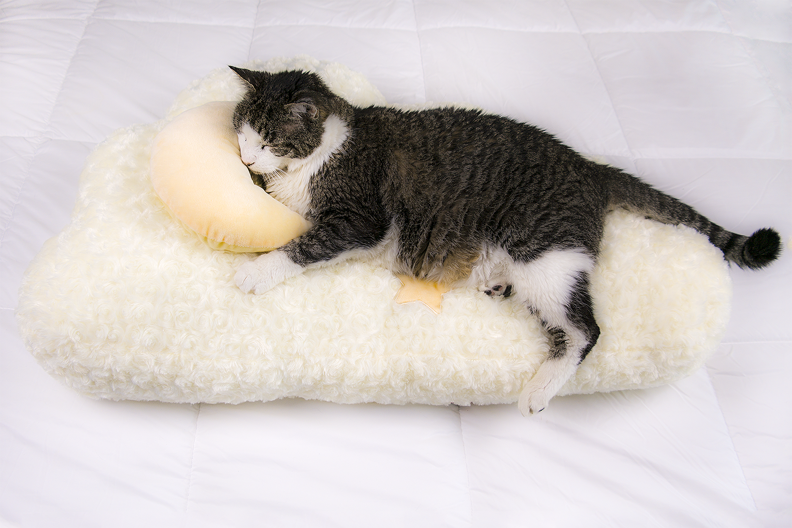 Dailypets Soft Faux Fur Cloud Cat Bed for Cats