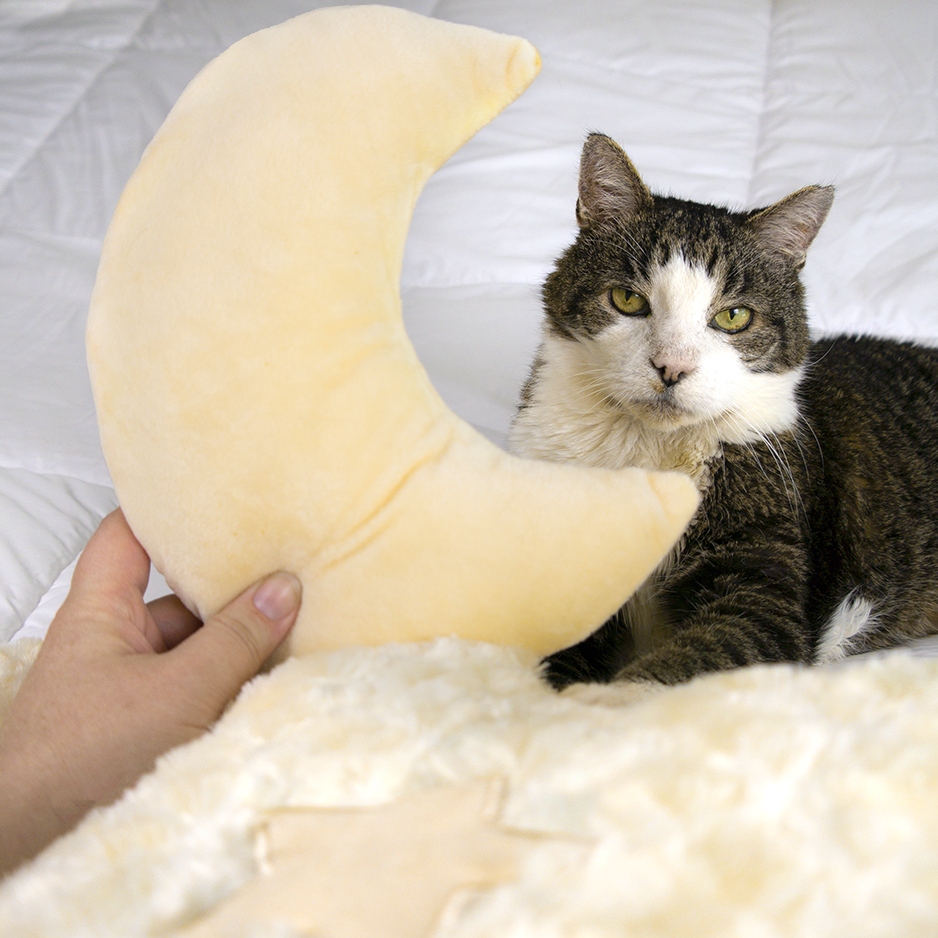 Dailypets Soft Faux Fur Cloud Cat Bed for Cats
